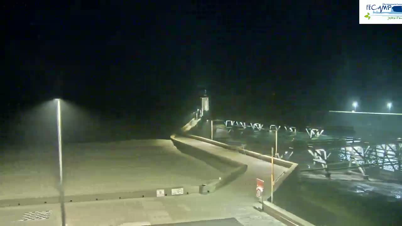 A nighttime, foggy view of a long, paved walkway leading to a pier extending into dark water.