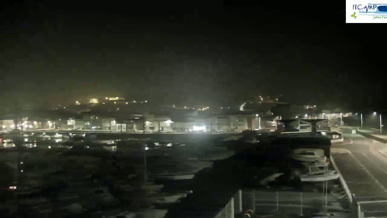 A nighttime view of a harbor filled with boats under a hazy sky.
