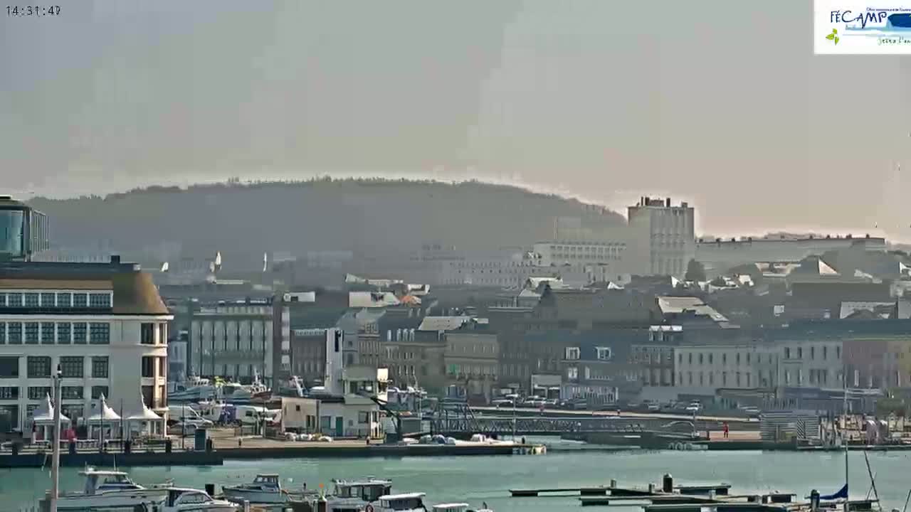 A hazy, sunny day reveals a harbor filled with boats, backed by a town with multi-story buildings nestled against a hill.