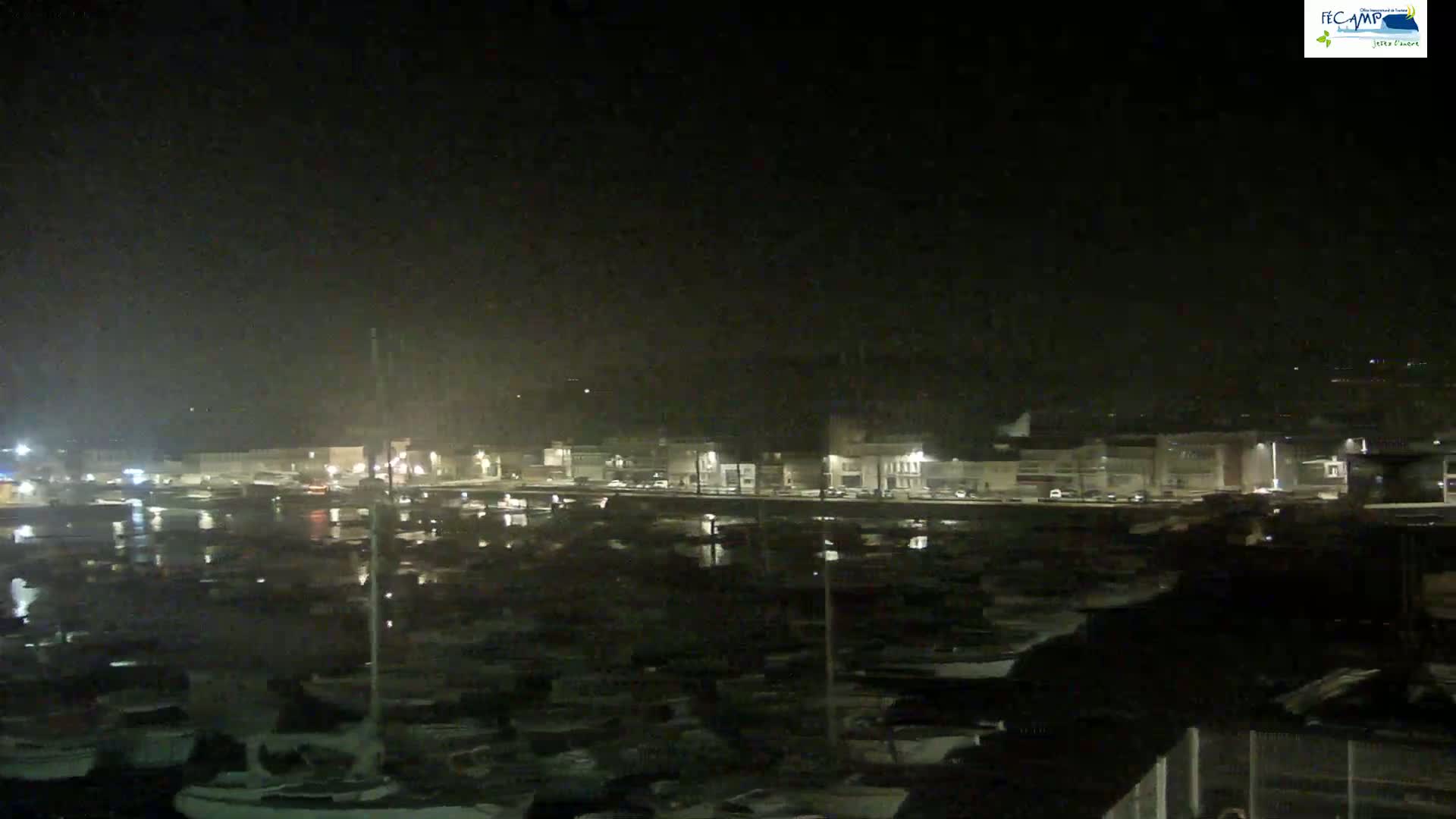 A nighttime view of a harbor filled with many boats, with a town's lights faintly visible in the background under a hazy, dark sky.