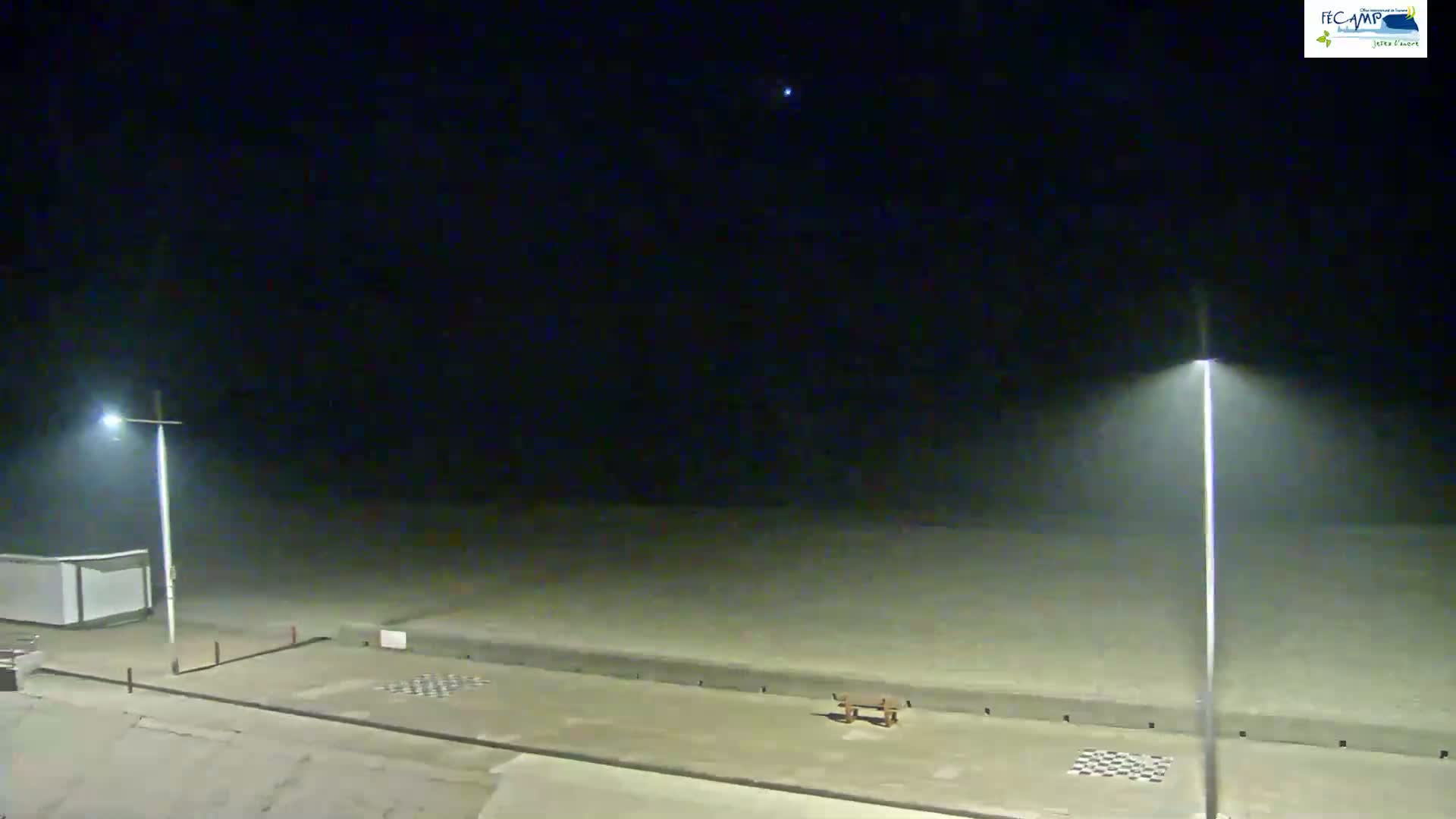 A nighttime view of a mostly empty beach with hazy conditions and two illuminated lampposts.
