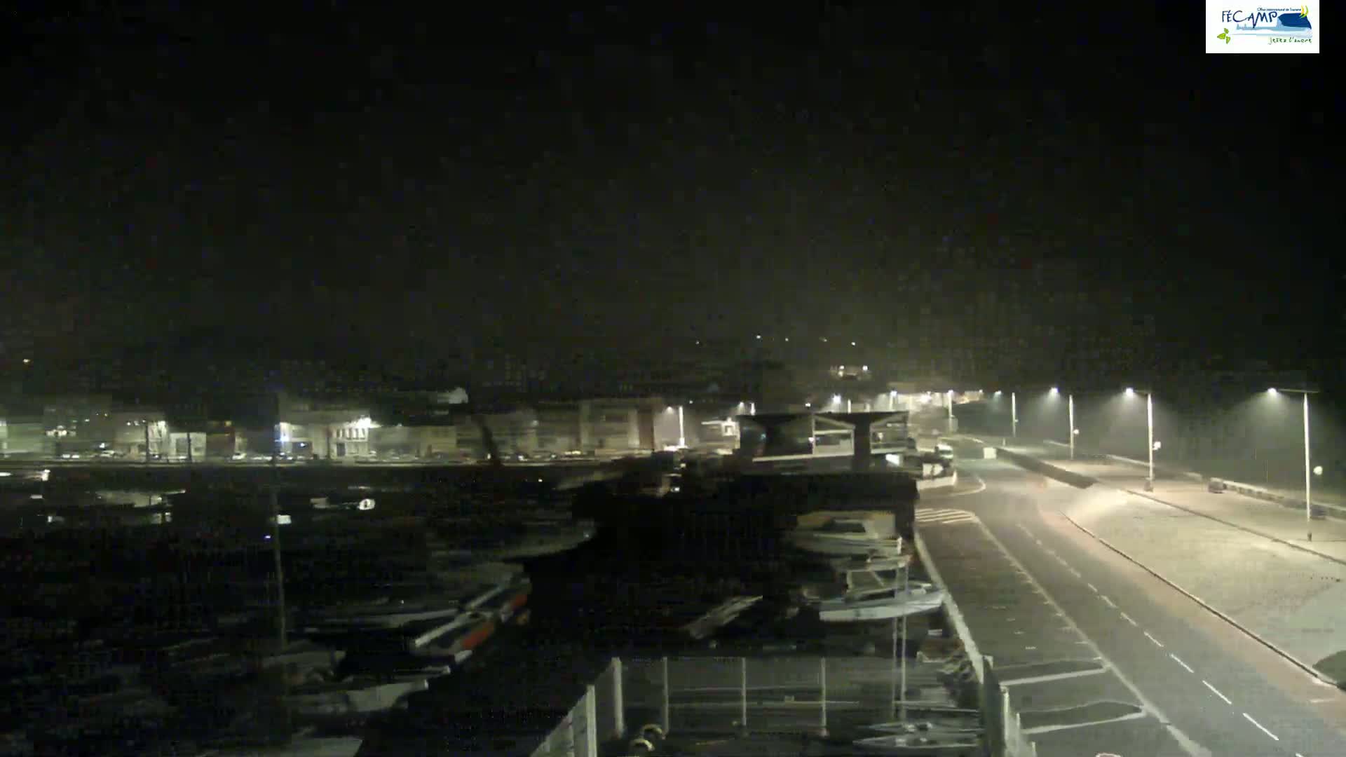 A nighttime, foggy view of a harbor with many boats, a roadway, and buildings along a waterfront.