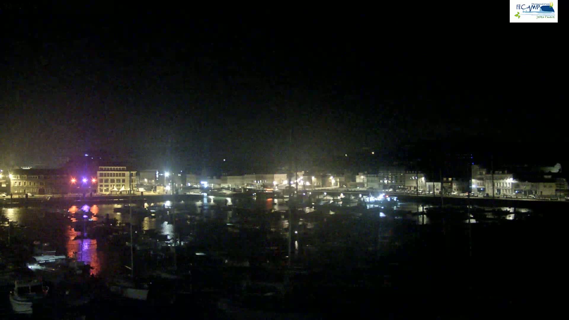 A nighttime view of a harbor filled with numerous boats, with buildings lit up along the waterfront under a dark sky.