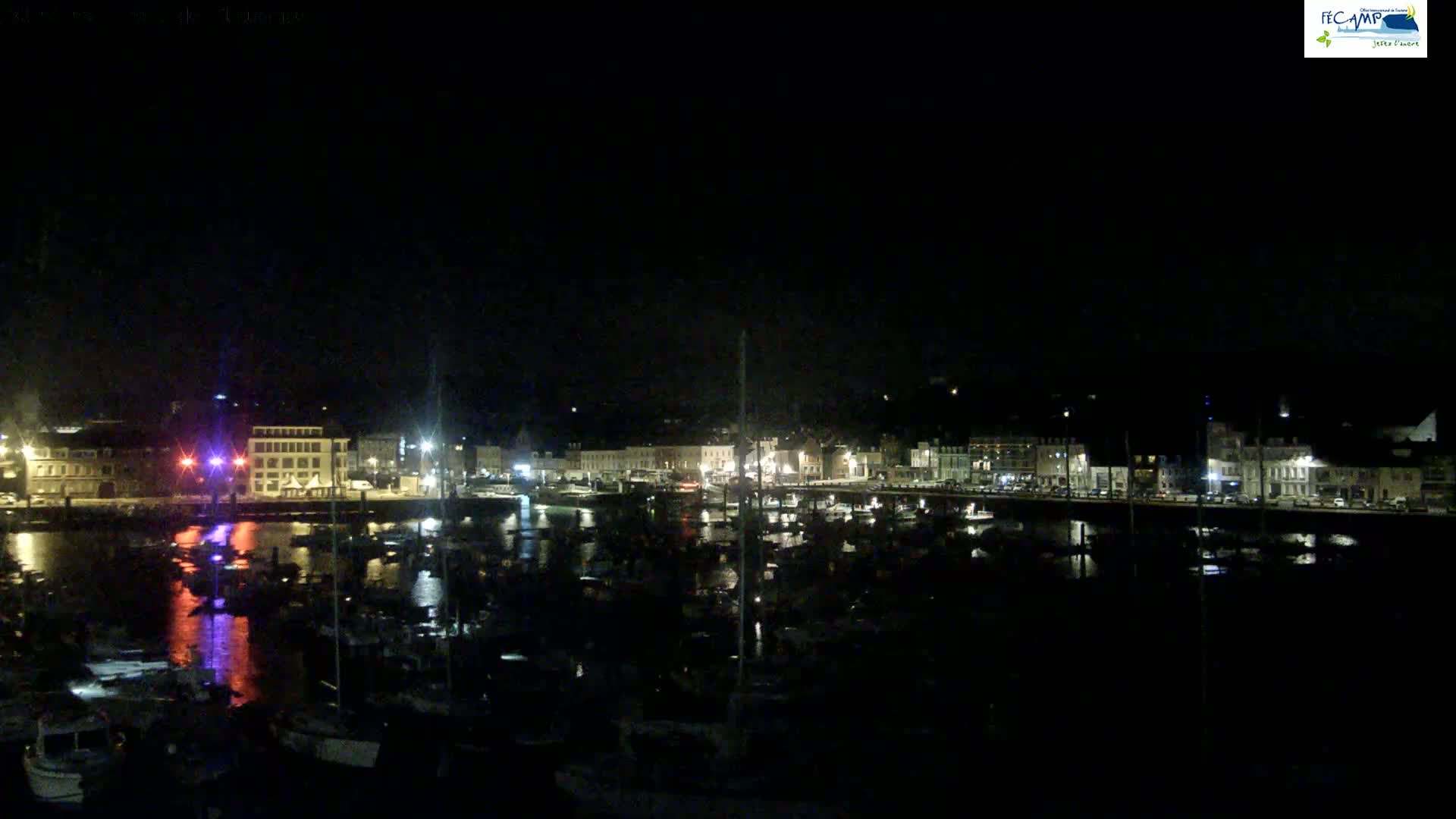 A nighttime view of a harbor filled with boats, illuminated by lights from buildings lining the waterfront under a clear, dark sky.