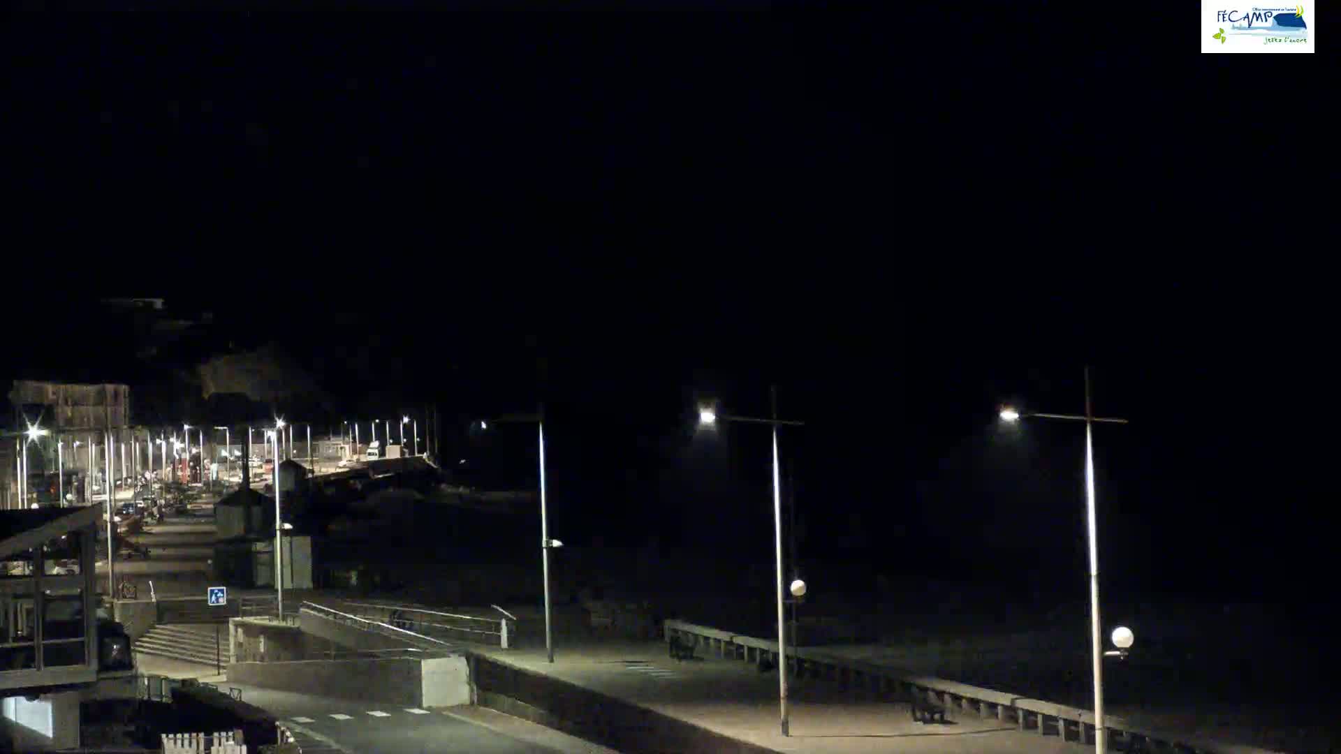 A nighttime view of a seaside promenade with streetlights illuminating a mostly empty road and boardwalk under a clear, dark sky.