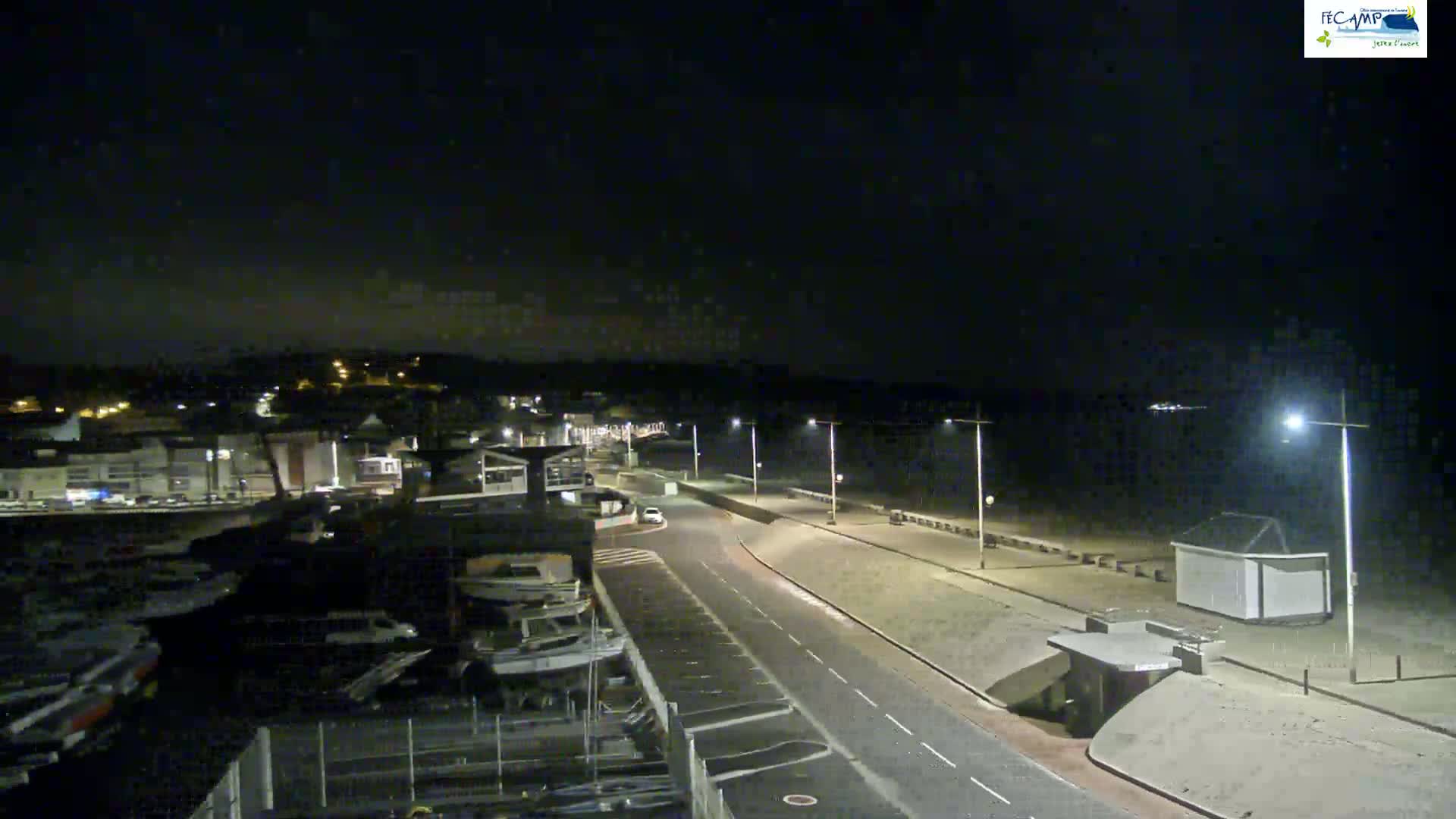 A nighttime view of a coastal town shows a harbor with boats, a road leading to a beach, and streetlights illuminating the scene under a dark sky.