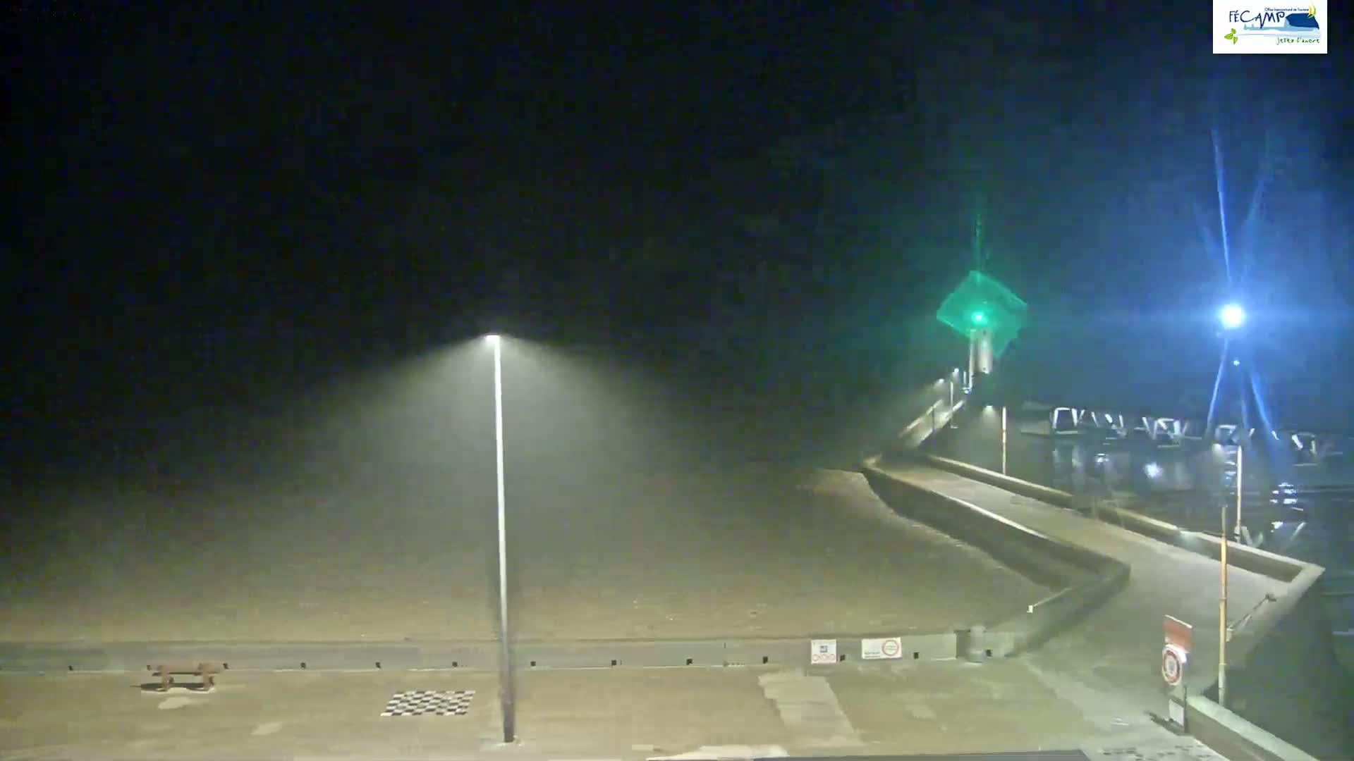 A nighttime, foggy scene shows a paved area leading to a waterfront, illuminated by streetlights.