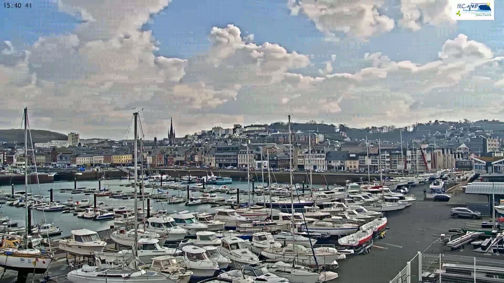 A harbor filled with numerous boats is situated in front of a town under a partly cloudy sky.