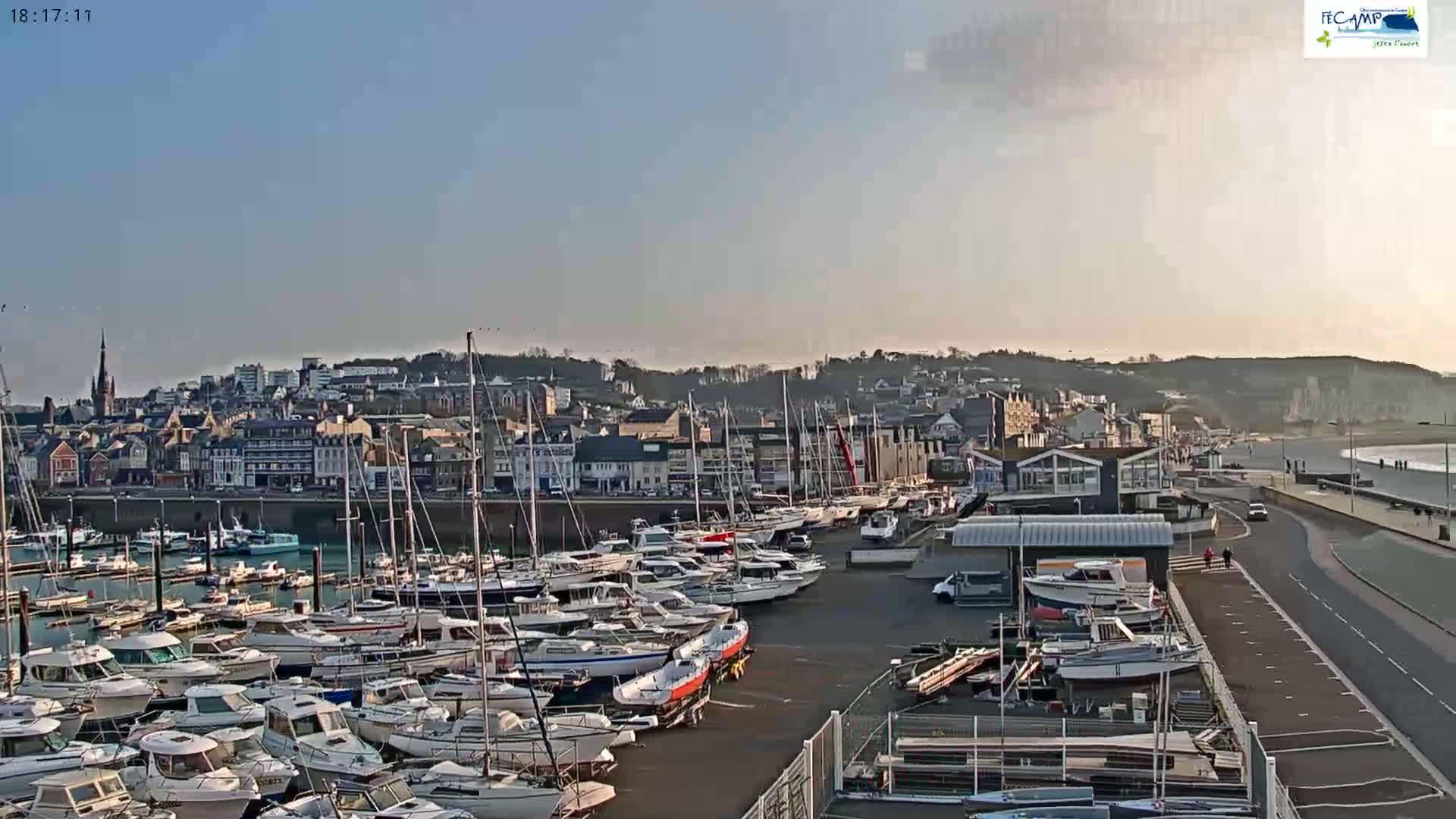 A harbor filled with numerous boats is situated in front of a town, under a clear, bright sky.