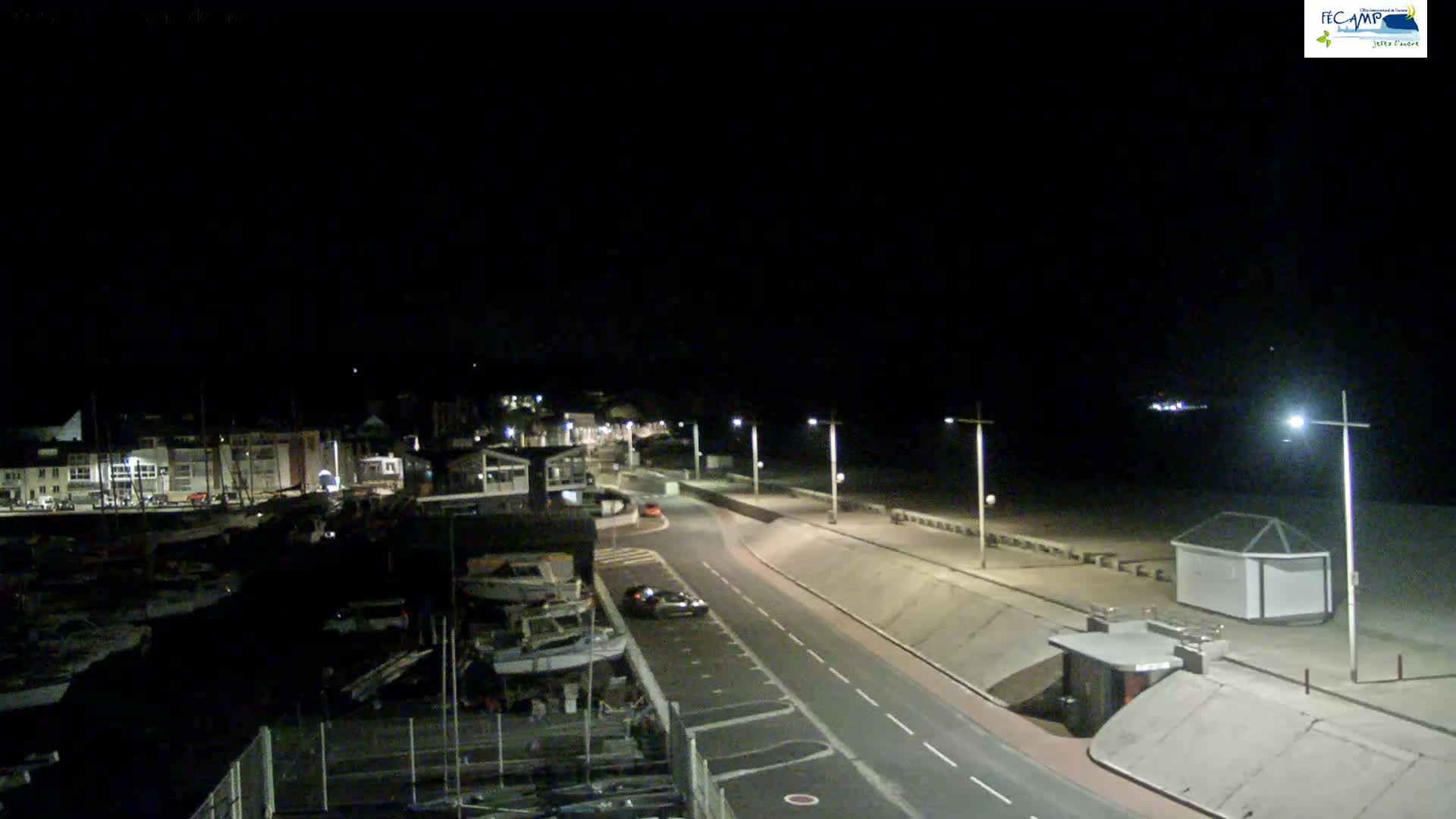 A nighttime view of a seaside town's harbor and promenade, with a road separating them, illuminated by streetlights.