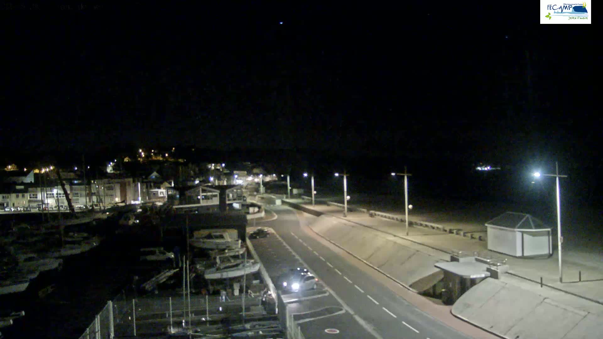 A nighttime, high-angle view shows a harbor filled with boats, a road leading to a beach, and streetlights illuminating the scene under a clear, dark sky.
