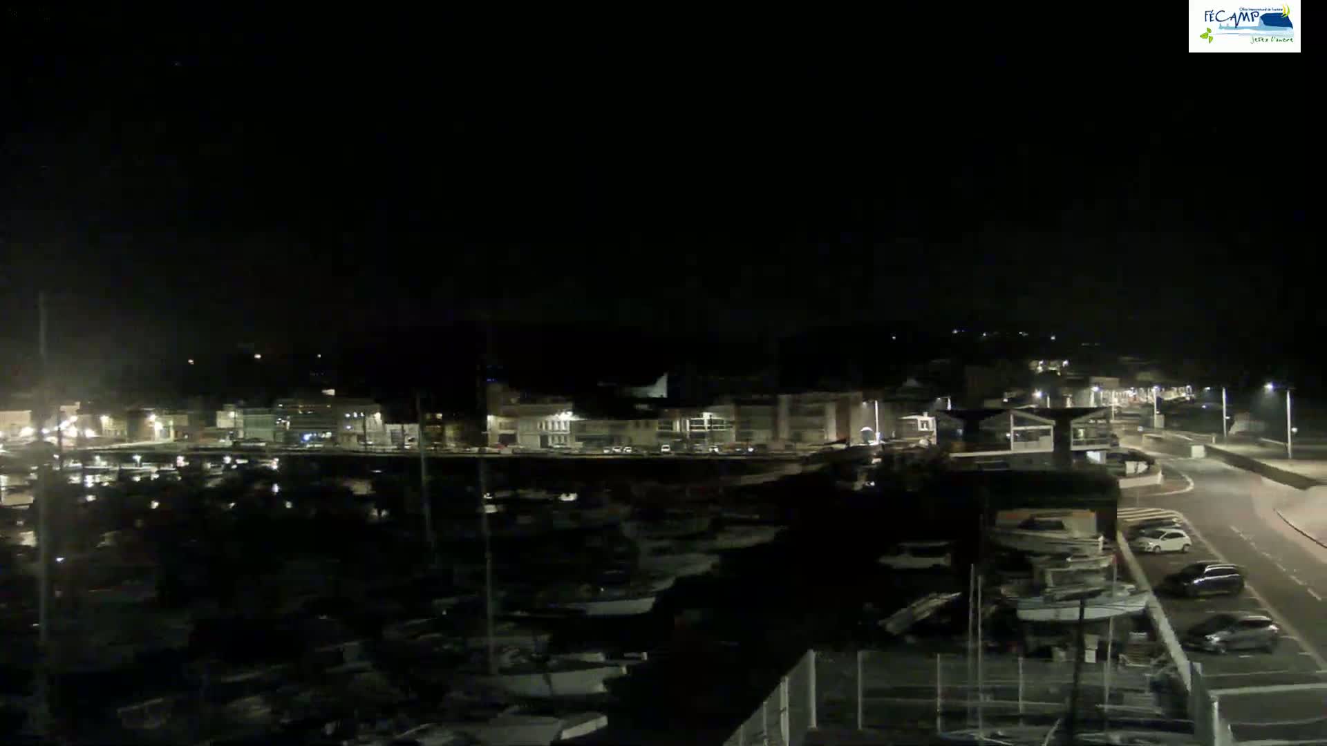 A nighttime view of a harbor filled with boats, next to a road with parked cars and buildings illuminated with lights.
