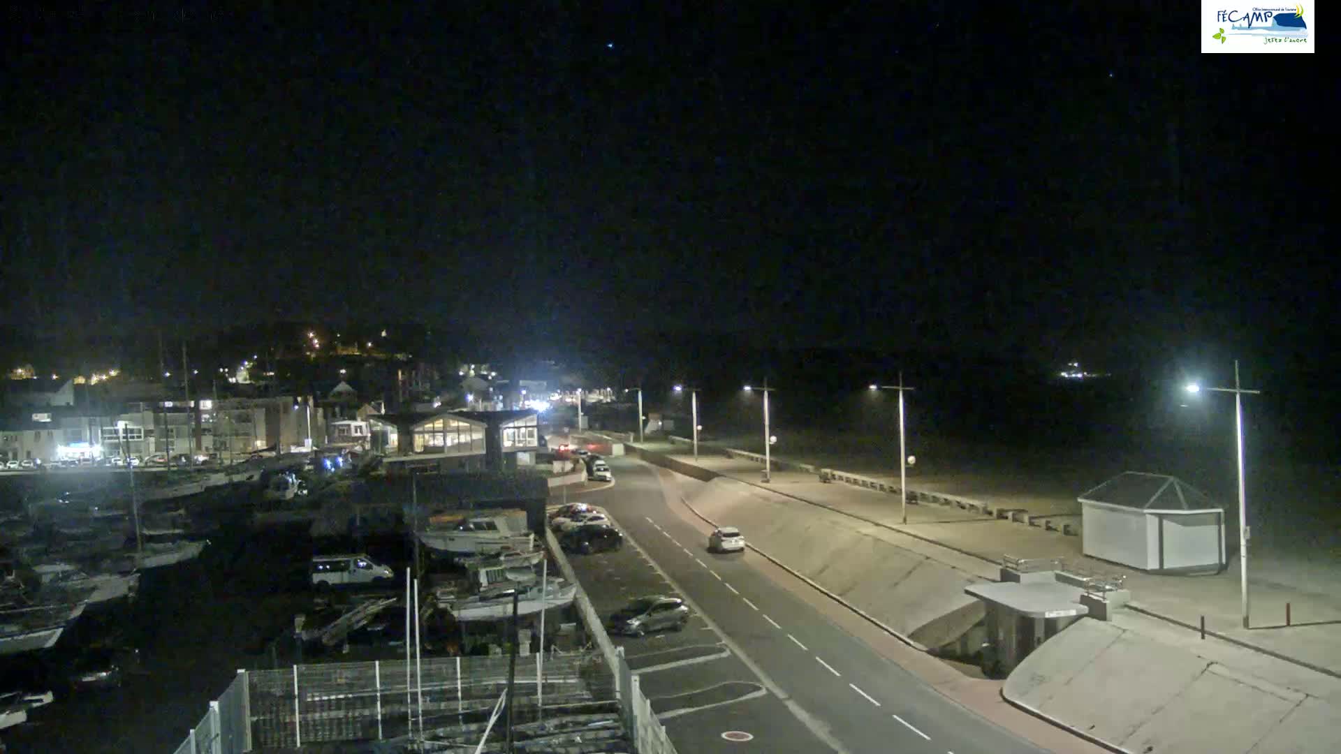 A nighttime aerial view shows a seaside town with a harbor full of boats, a road leading to a beach, and a few cars parked along the way under a clear, dark sky.