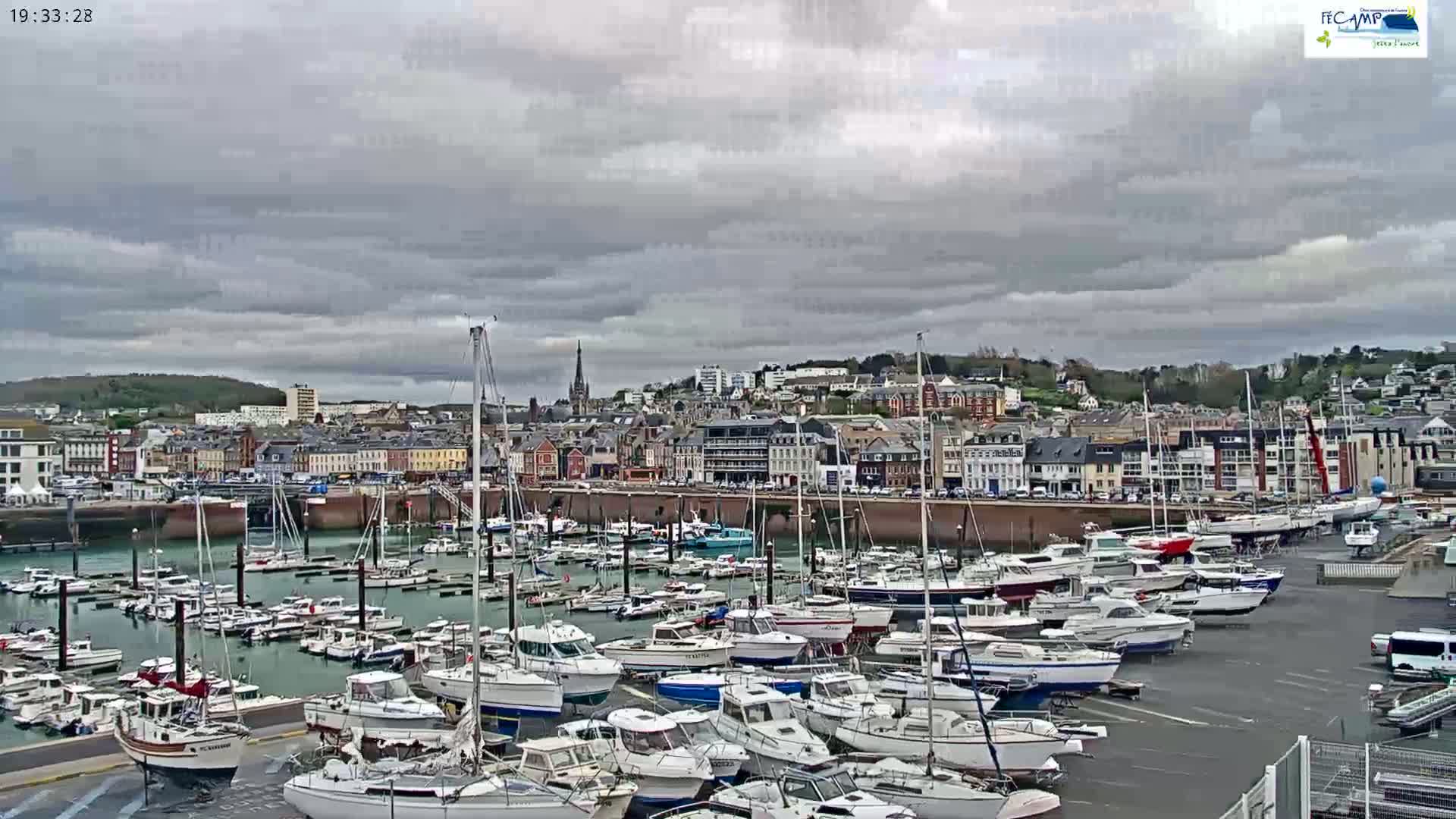 A harbor filled with numerous boats is situated in front of a town under a cloudy sky.