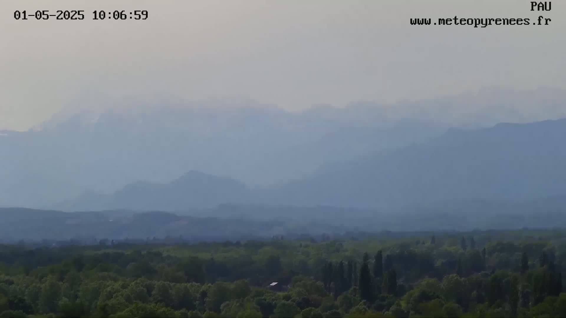 A hazy view shows a vast expanse of green trees and distant, blue mountains under a light, overcast sky.