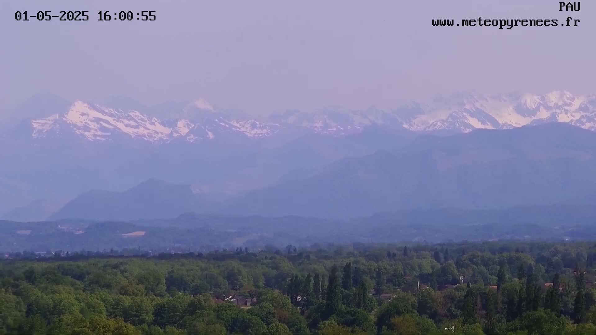A hazy view shows snow-capped mountains in the distance, overlooking a vast expanse of green trees and a small town.