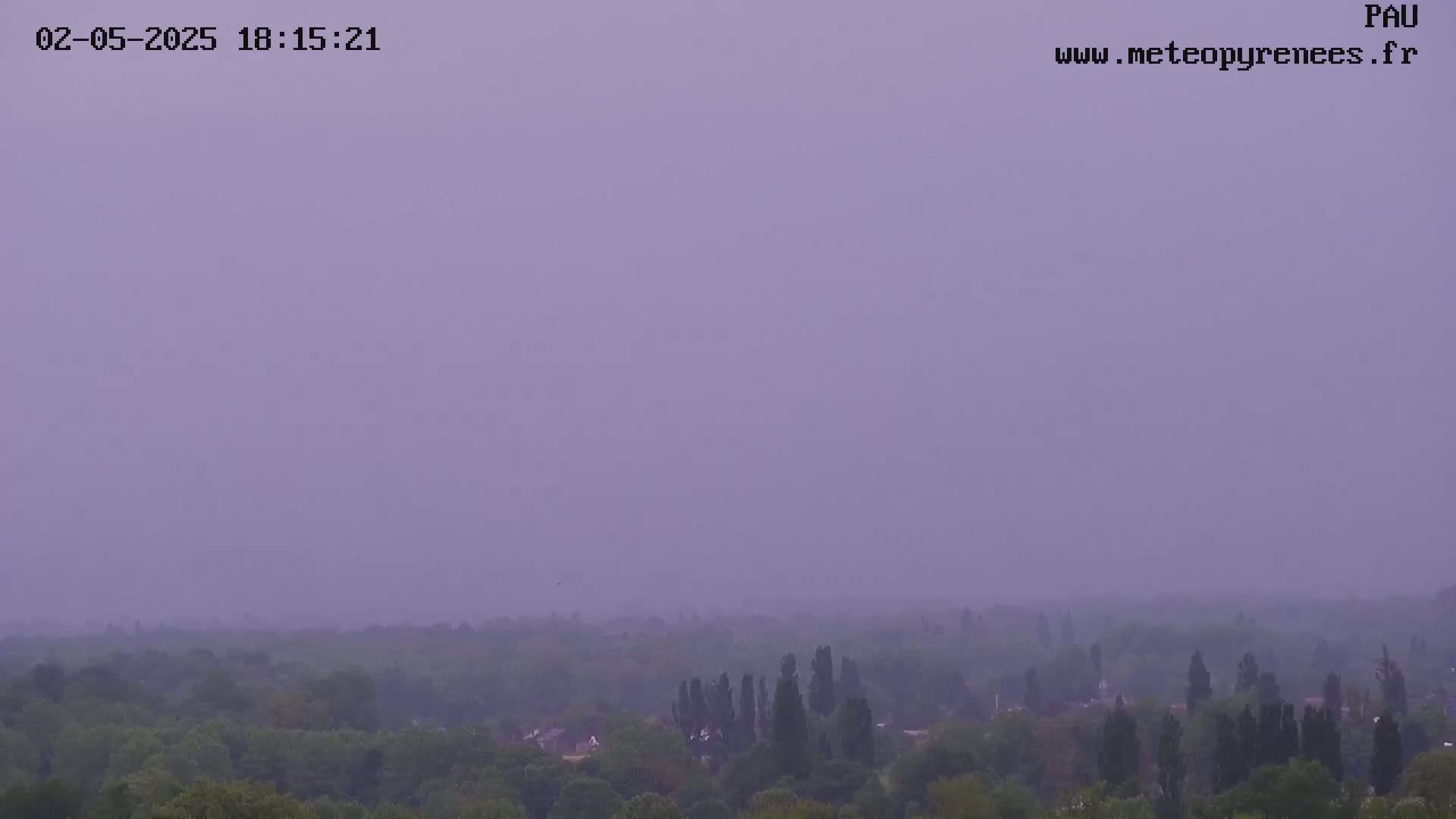 A hazy, purplish-gray sky hangs over a distant expanse of green trees and low buildings.