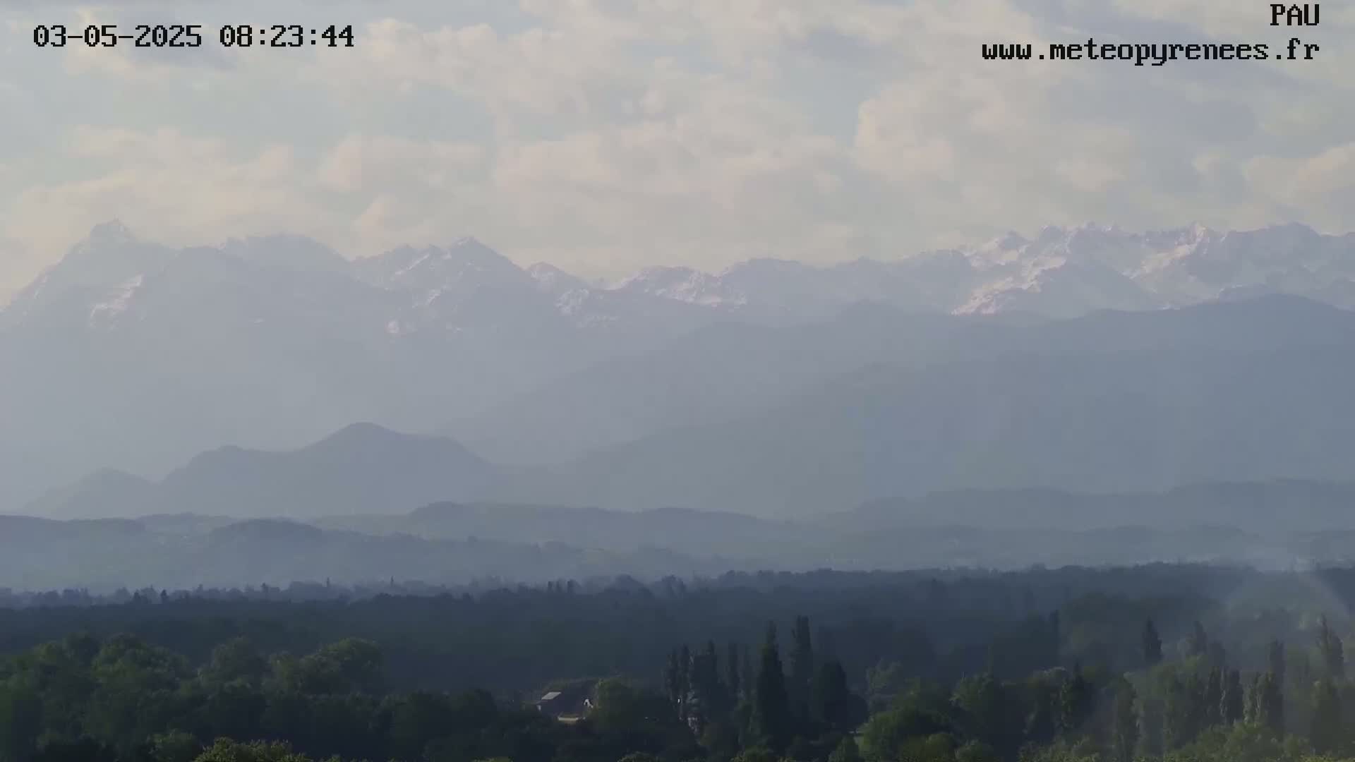 A hazy, partly cloudy day reveals a distant, snow-capped mountain range behind a vast expanse of forest.