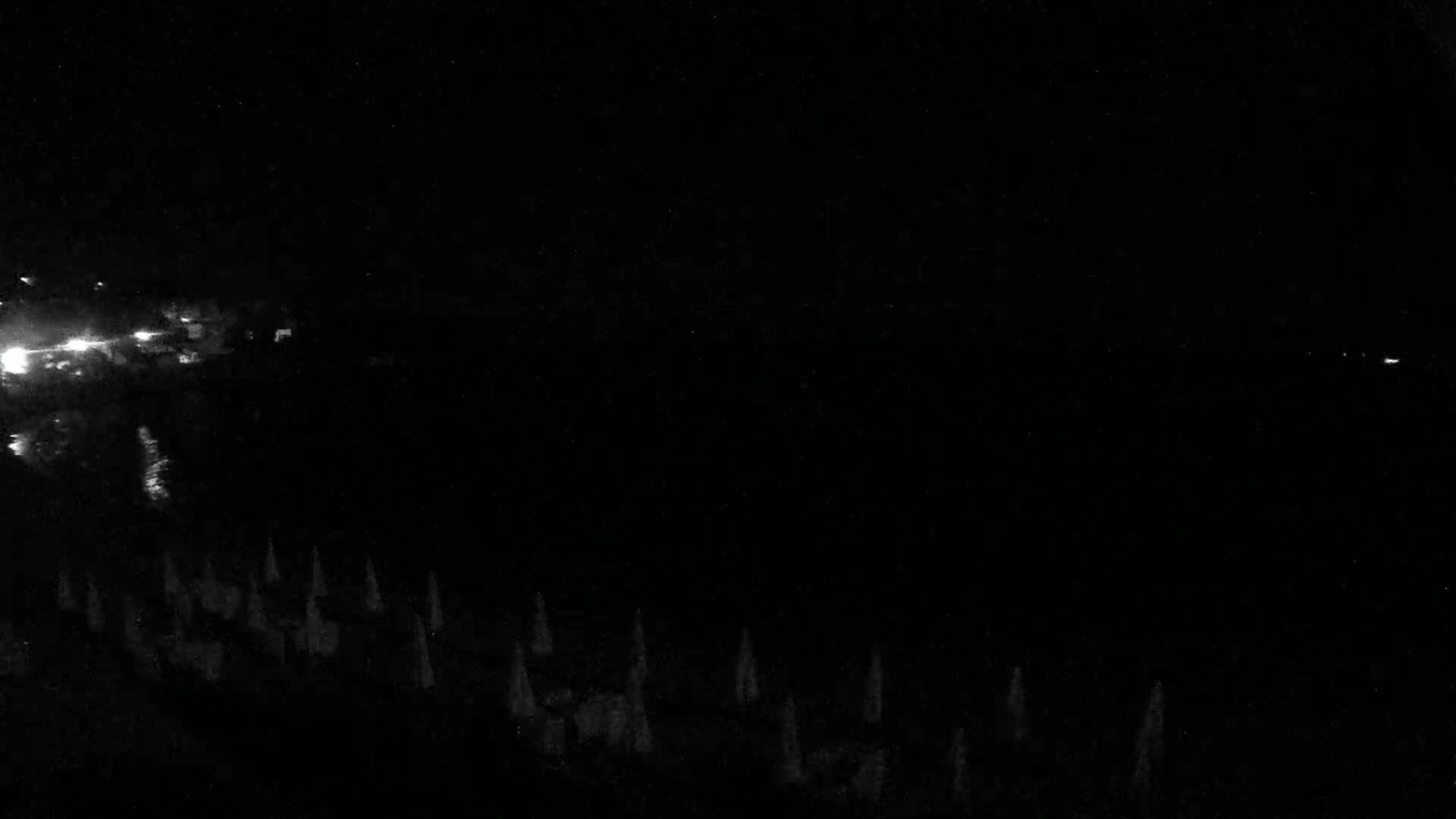 A nighttime, low-light image shows a dark body of water with faint lights in the distance and a line of indistinct objects, possibly trees or poles, along the bottom.