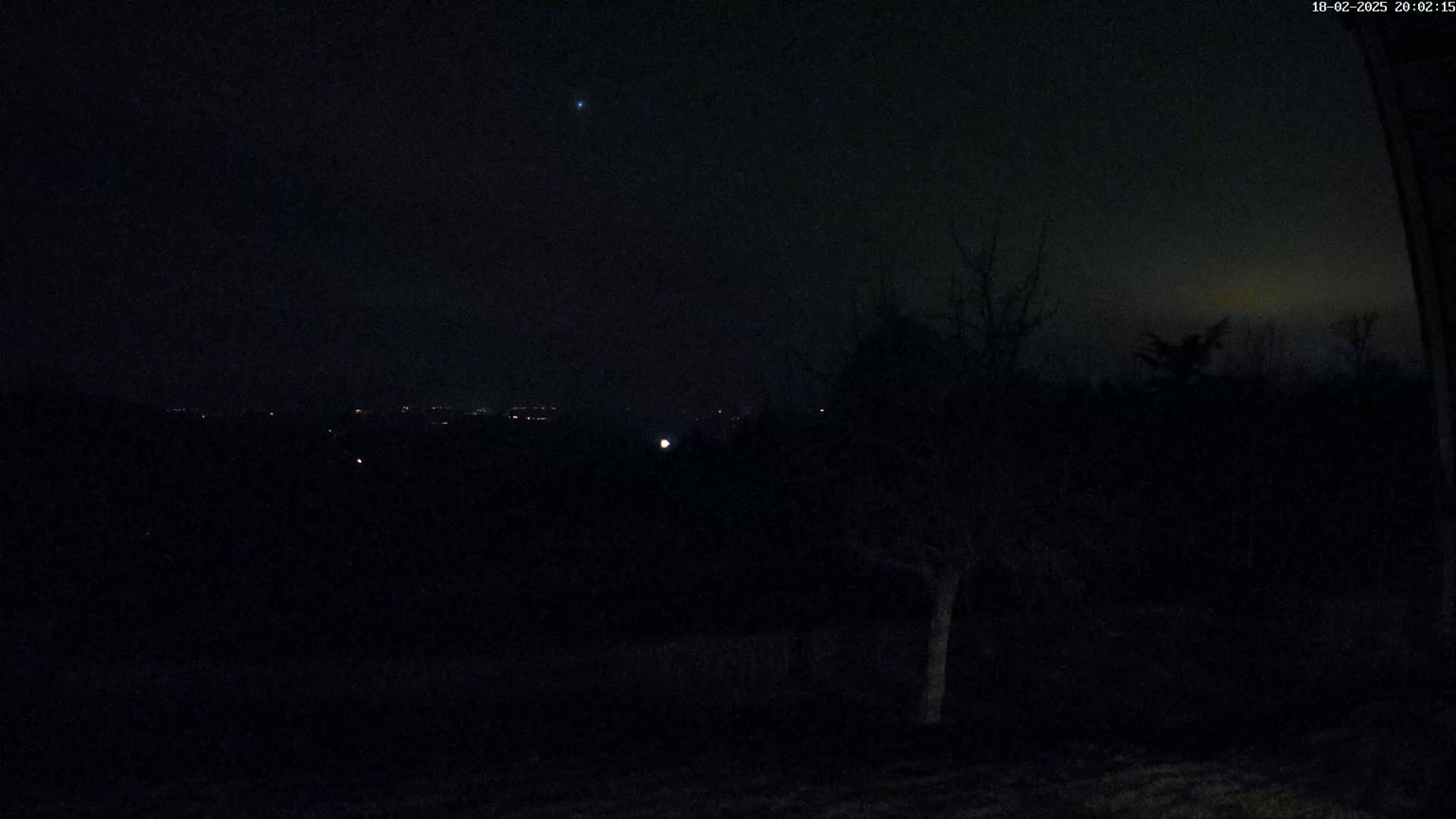 A dark, nighttime landscape with a few bare trees and distant lights under a slightly hazy sky.