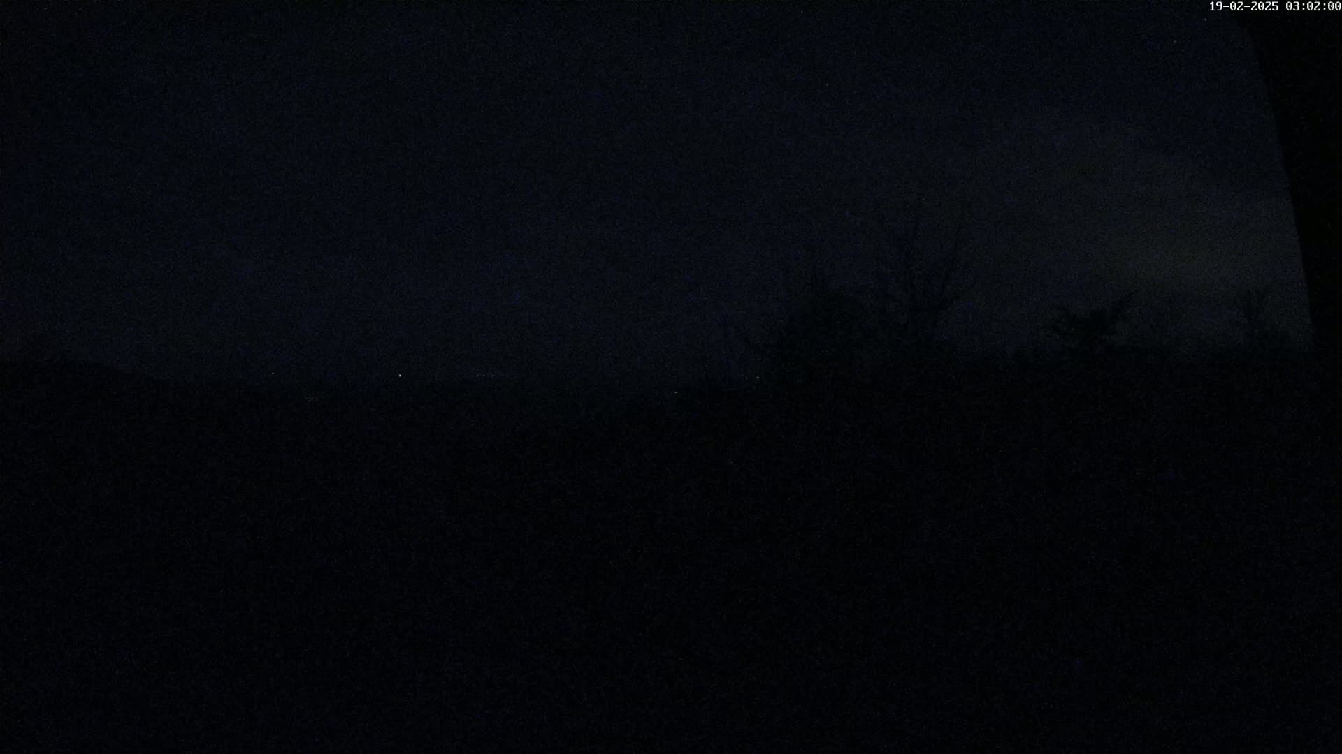 A nighttime, dark image shows a mostly obscured landscape with some silhouetted trees under a dark sky.