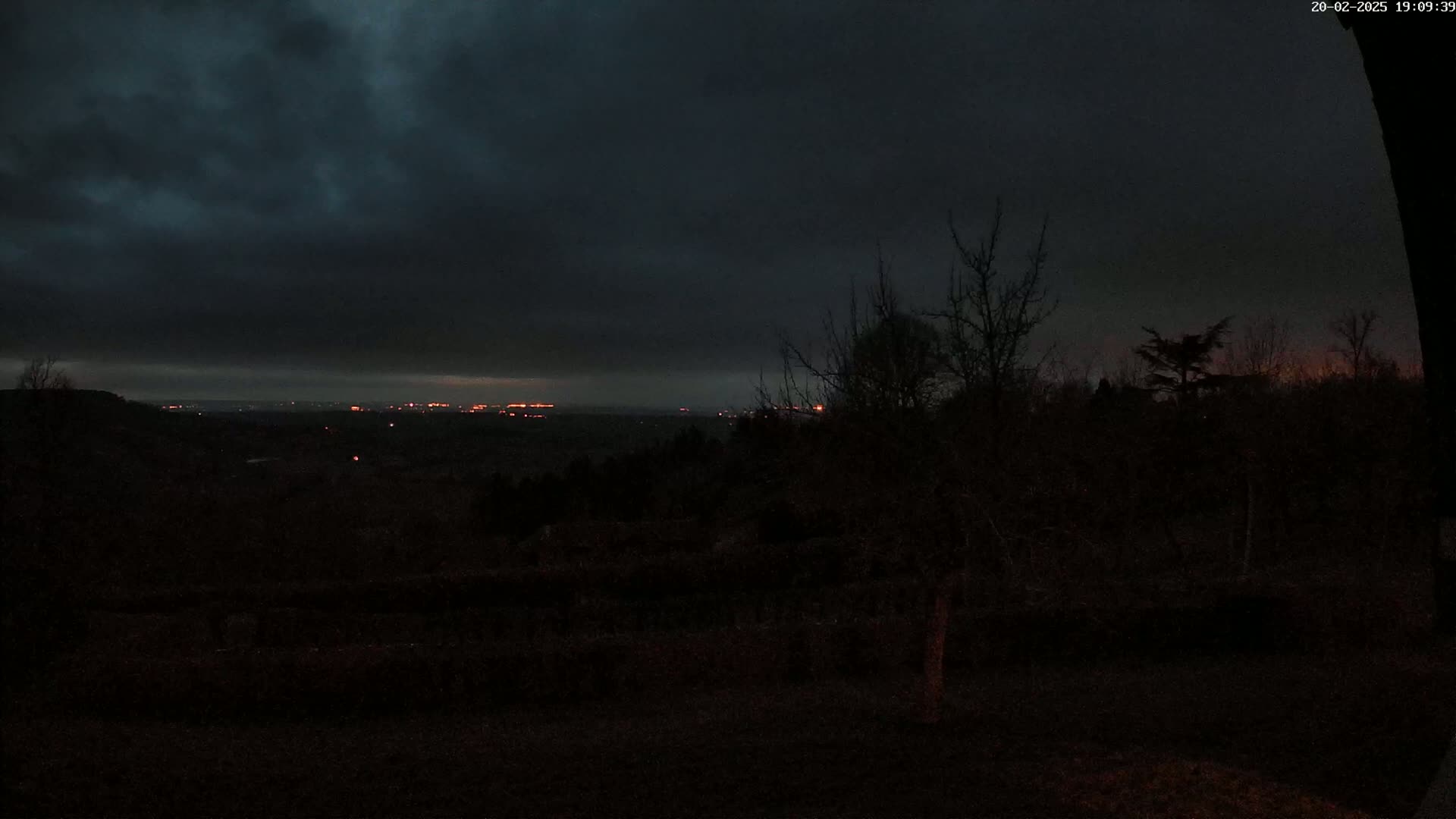 A dark, overcast night scene shows a distant cityscape glowing faintly orange against a mostly dark sky, viewed from a vantage point overlooking a silhouetted landscape of trees and shrubs.