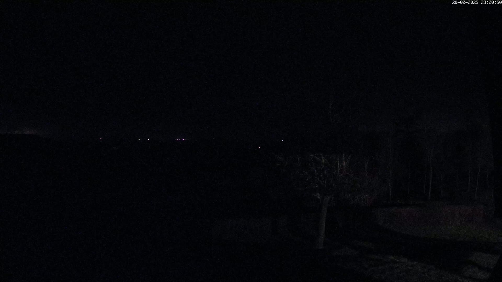 A dark, nighttime scene shows a few distant lights on a horizon line behind a sparsely wooded area.