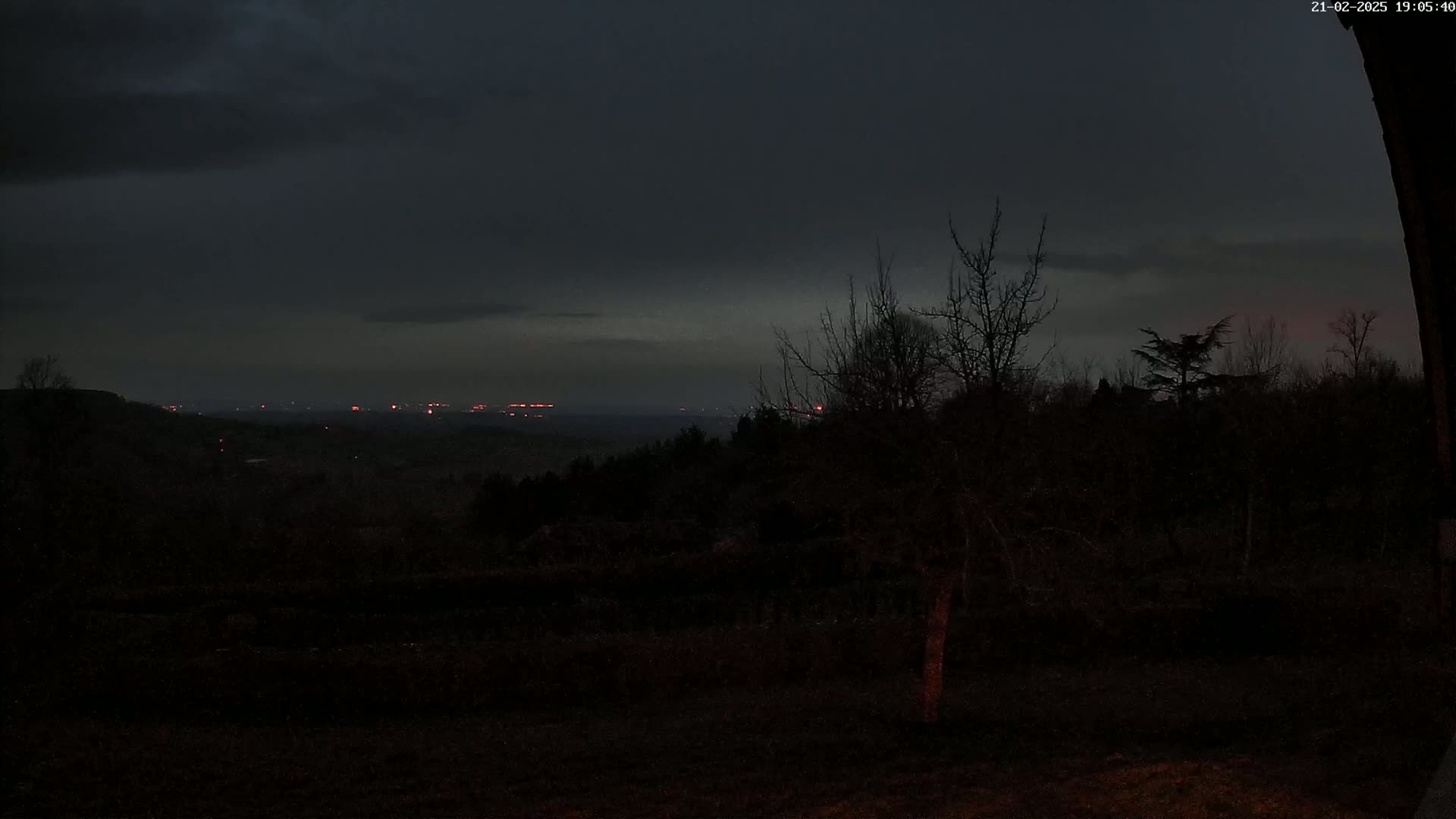 A dark, nighttime view of a distant city skyline with faint red lights, partially obscured by a silhouetted landscape of trees and bushes under a cloudy sky.