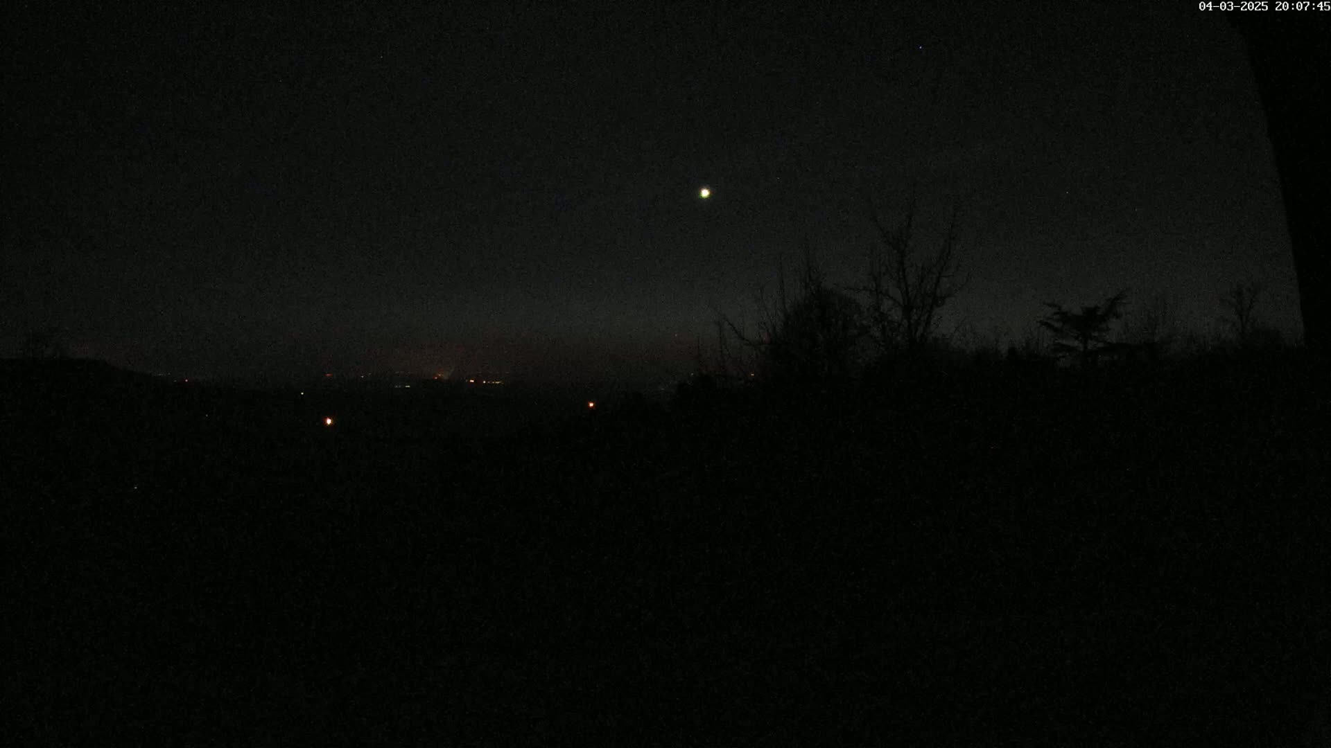A night-time view of a distant city skyline with a bright celestial body and silhouetted trees in the foreground under a clear, dark sky.