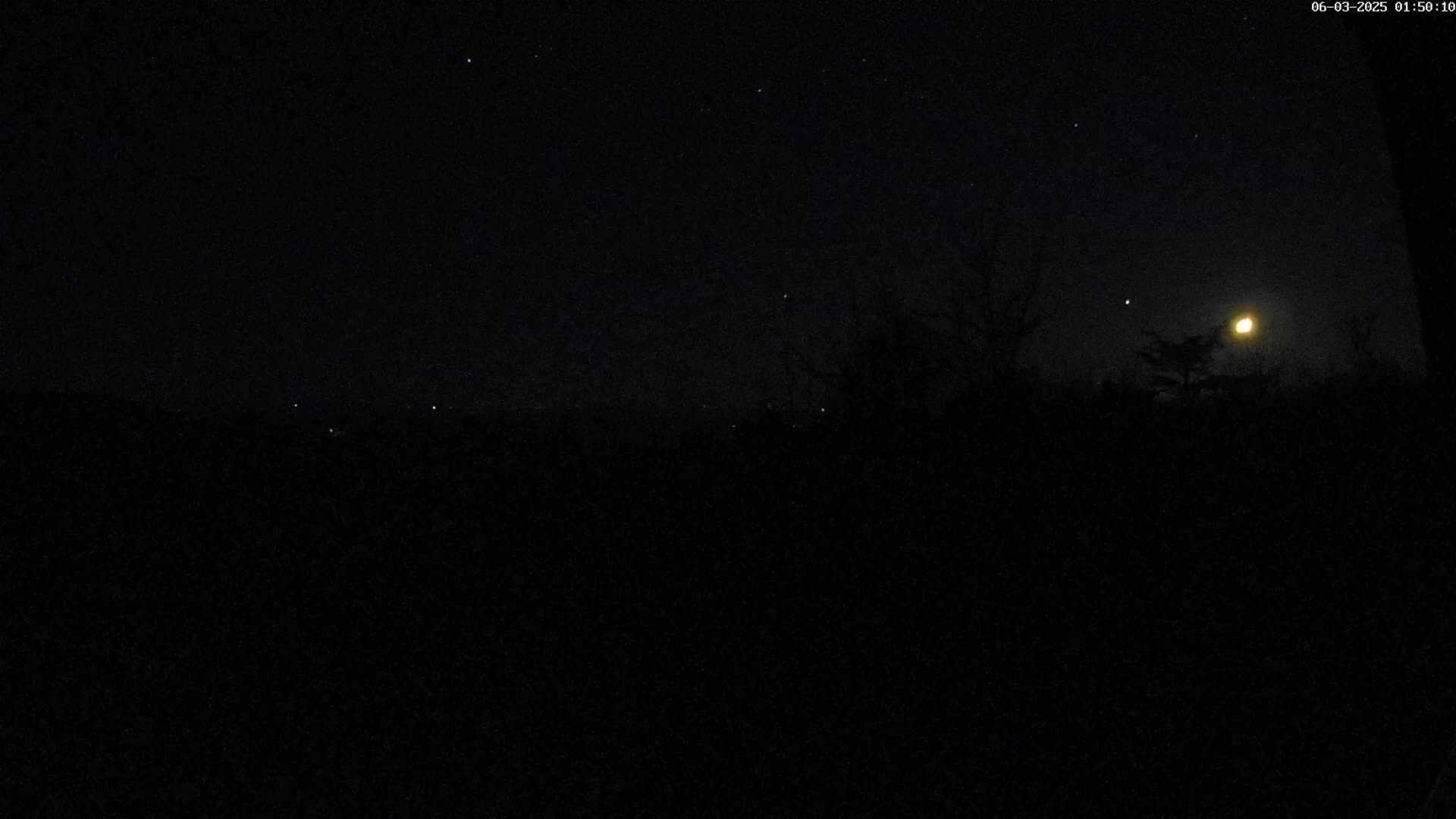 A nighttime outdoor scene shows a bright moon and stars above a dark, silhouetted landscape of trees.