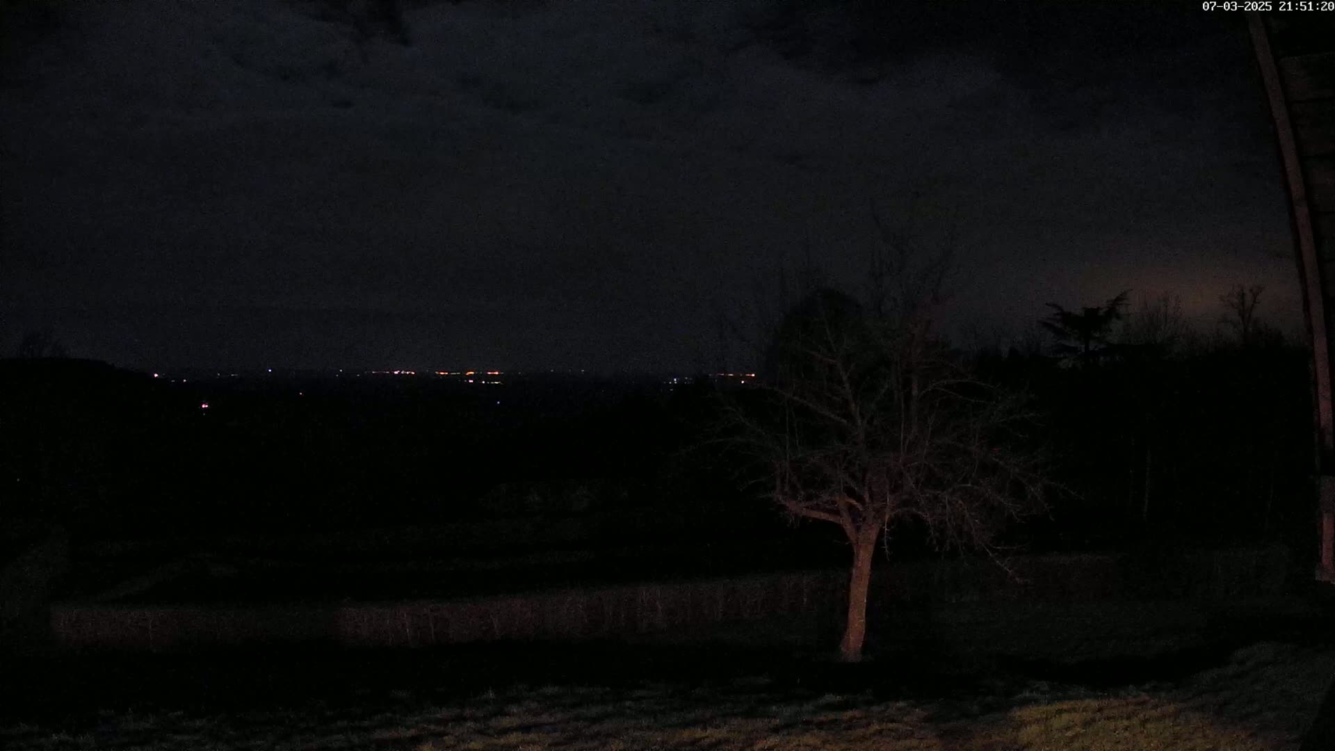 A dark, nighttime landscape features a lone bare tree in the foreground, with distant city lights faintly visible on the horizon under a mostly cloudy sky.
