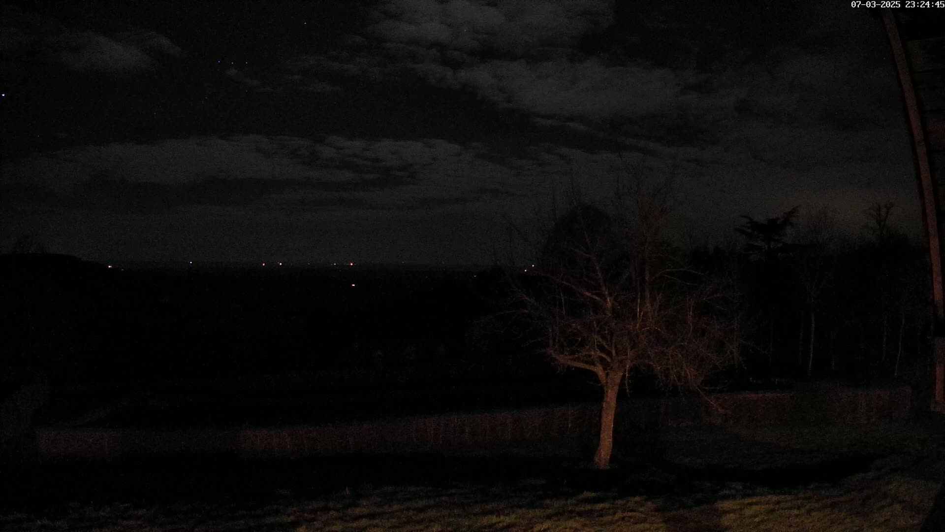 A nighttime view of a leafless tree in a dark field under a cloudy sky with a few distant lights visible on the horizon.