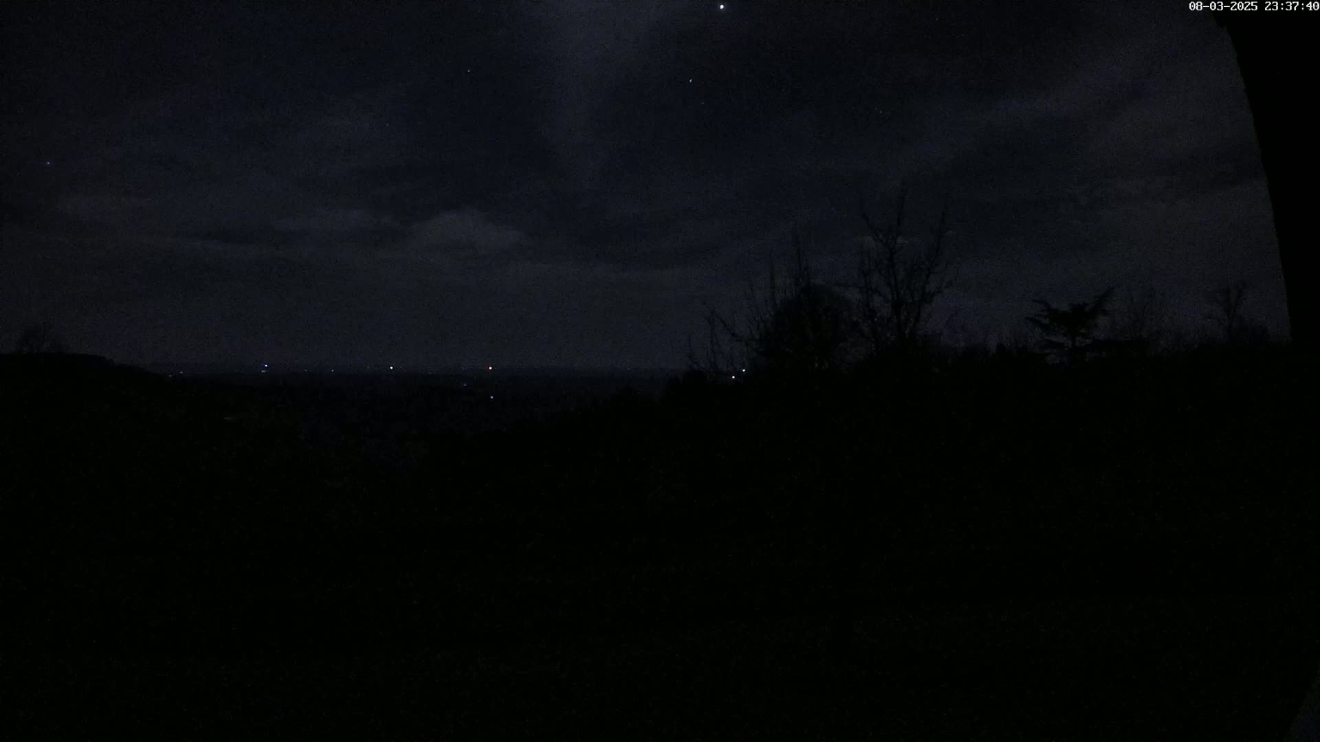 A nighttime view of a dark landscape with a few distant lights and a cloudy sky, showing some bare trees in the foreground.