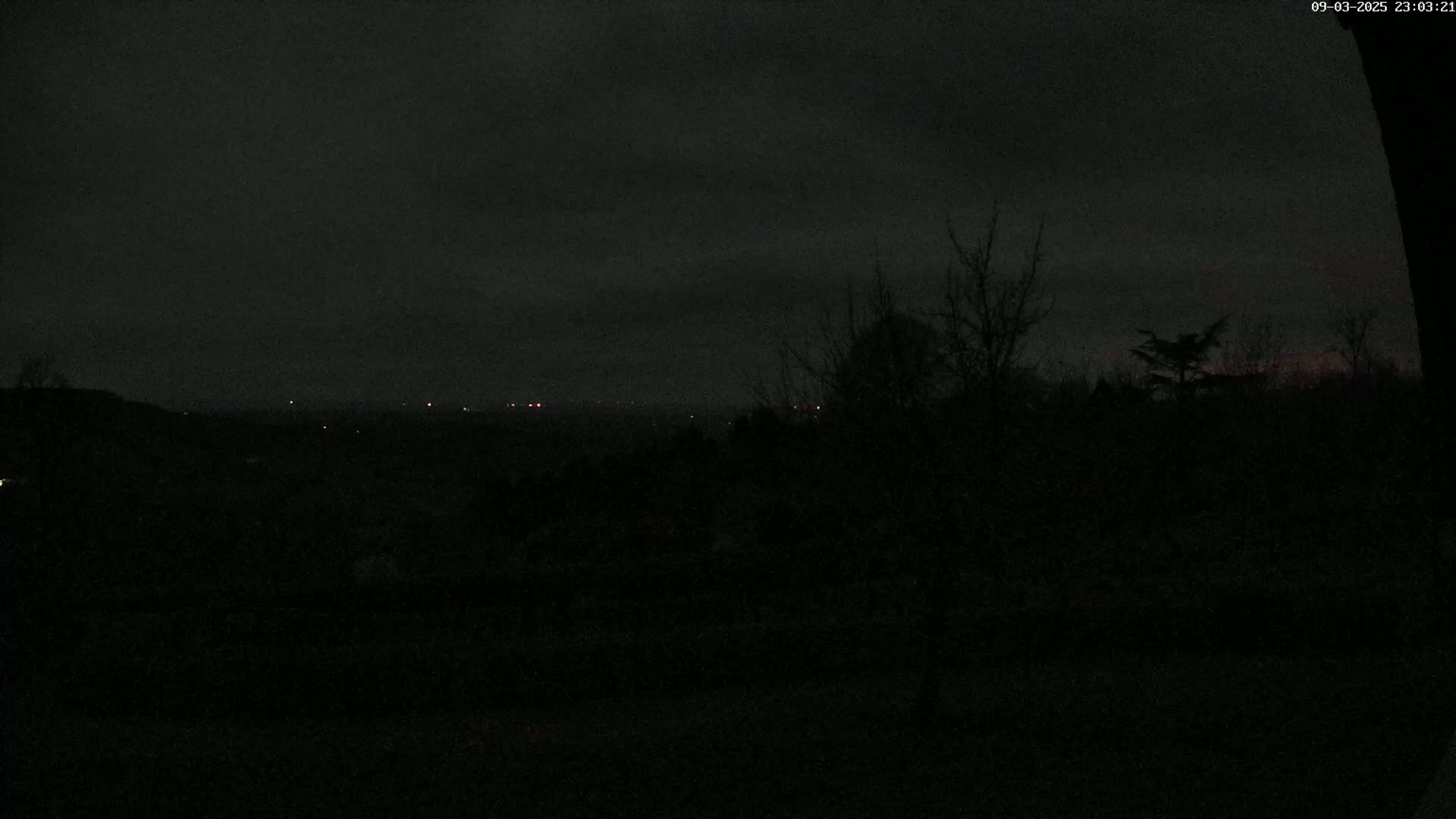 A dark, nighttime view of a distant horizon with faint lights and silhouetted trees under a cloudy sky.