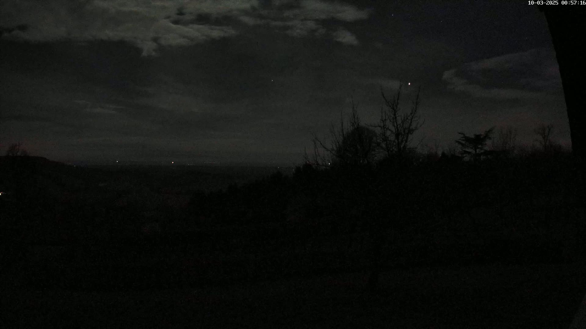 A nighttime view of a dark landscape with silhouetted trees against a cloudy sky, showing a few distant lights.