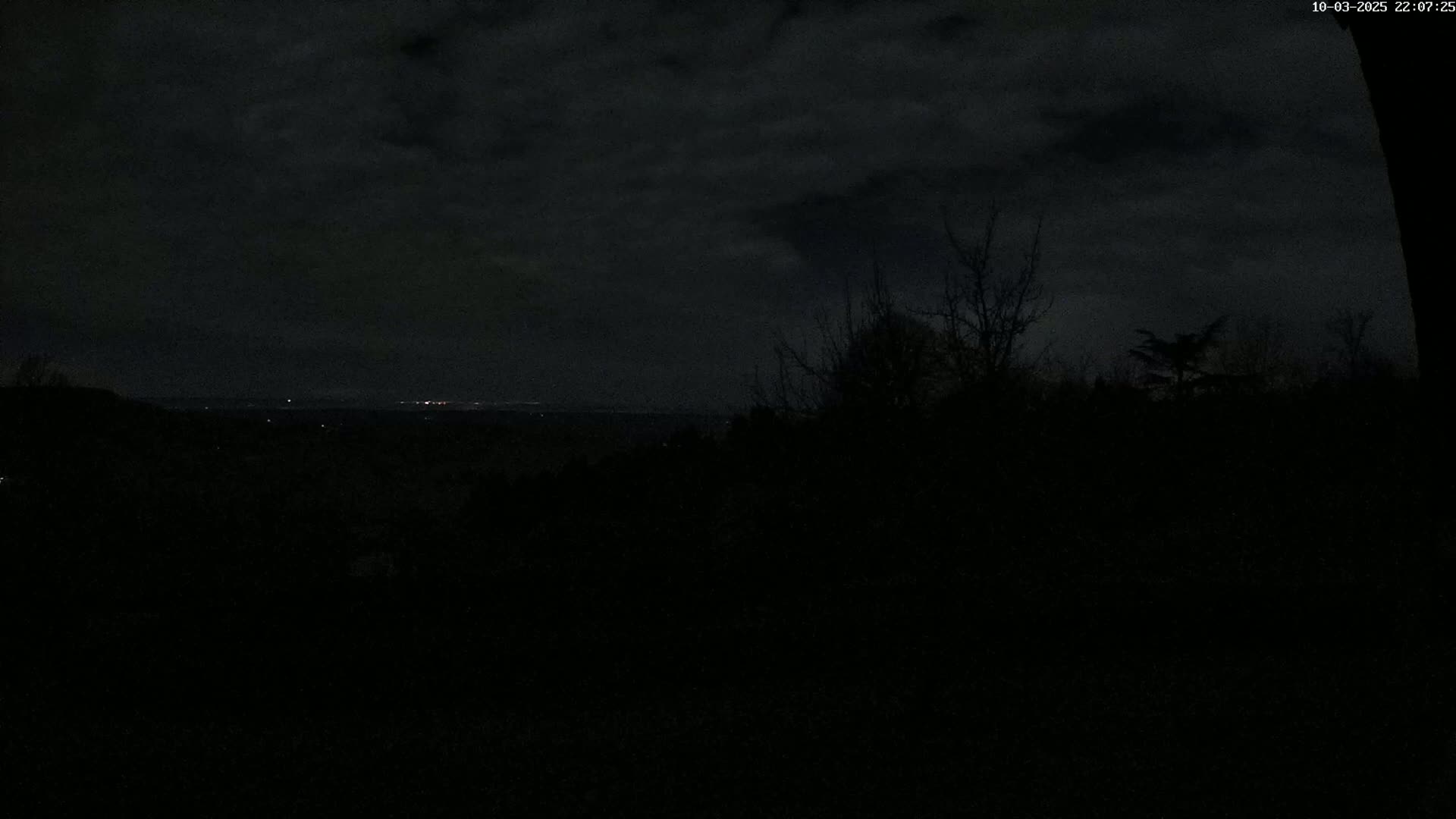 A dark, nighttime landscape with a cloudy sky shows a distant, faintly lit cityscape beyond a silhouetted line of trees.