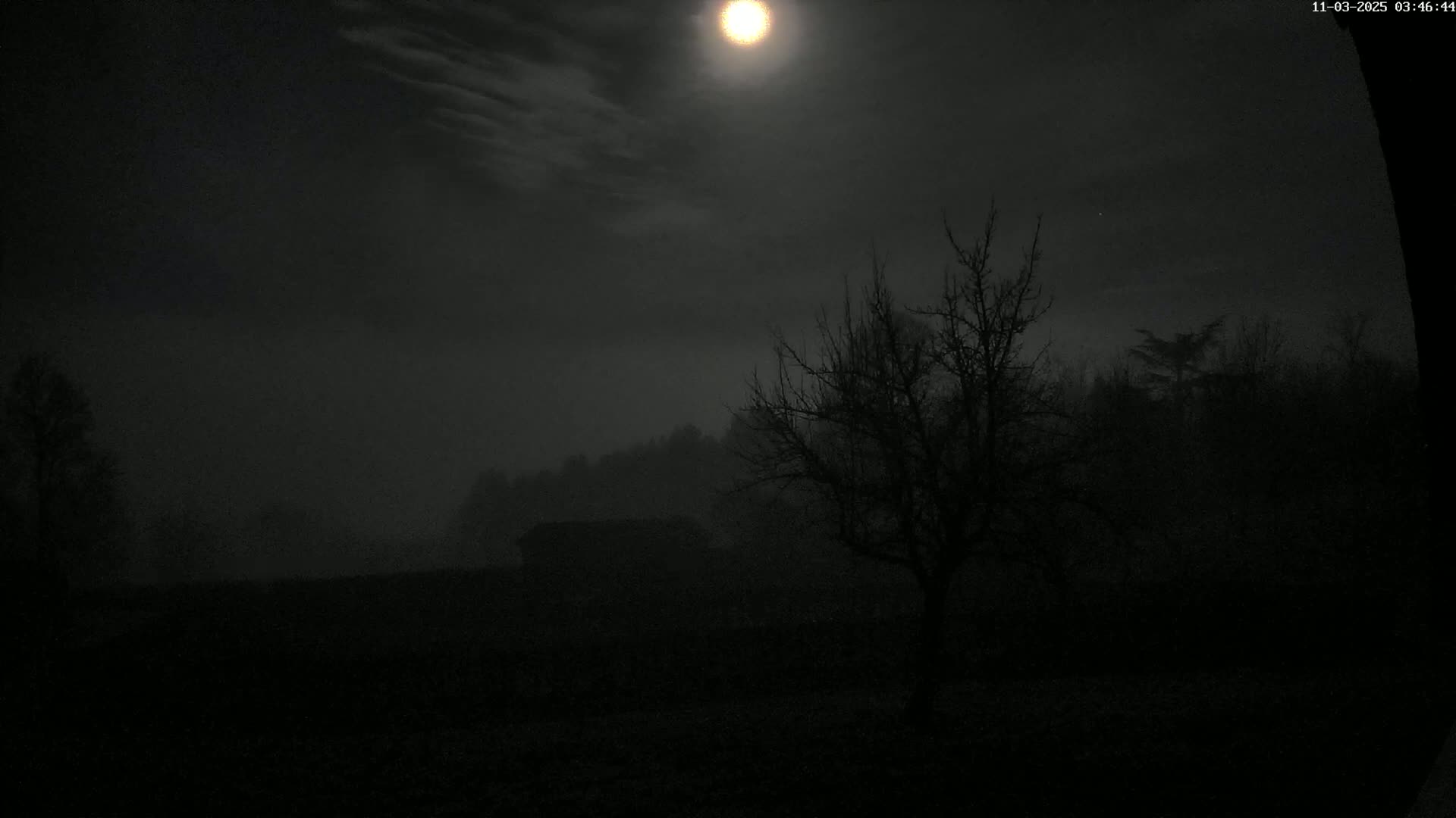 A bright moon shines through a foggy, dark night sky over a silhouetted landscape of trees and a distant structure.