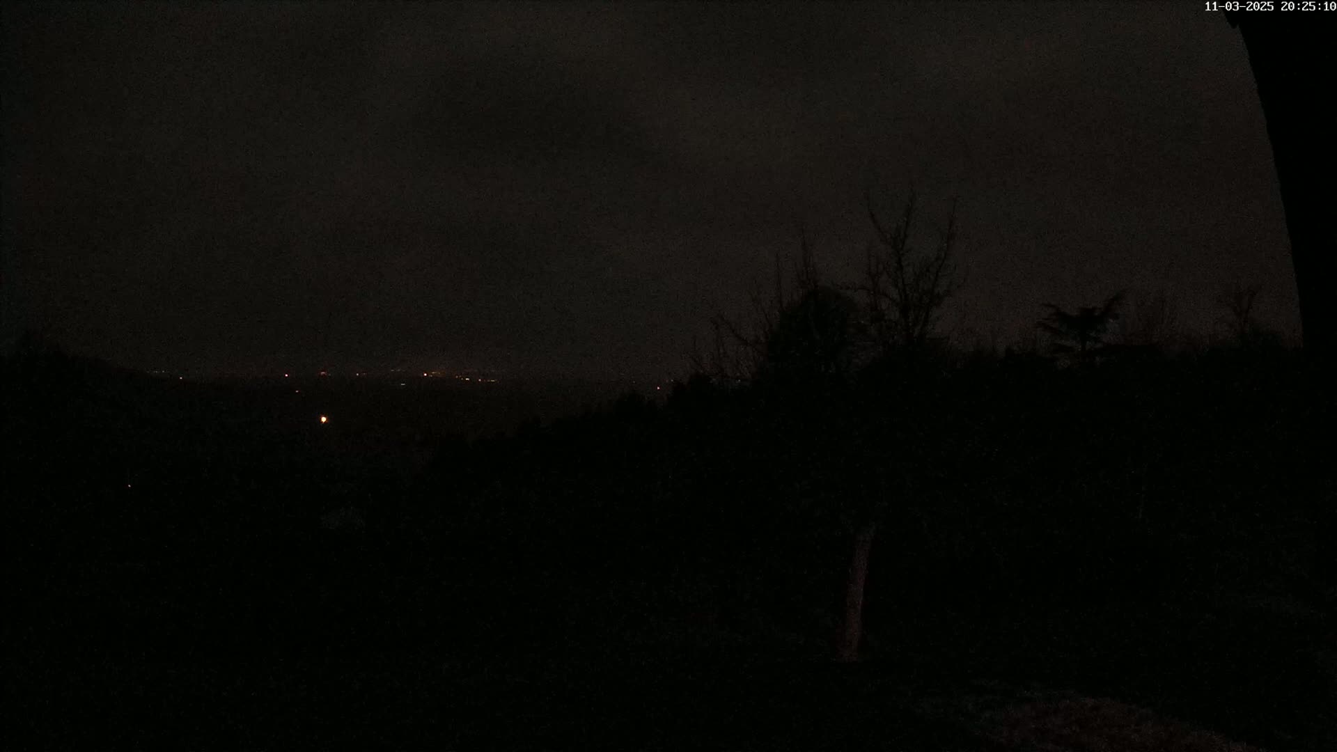 A dark nighttime scene shows a distant line of lights across a valley, obscured by a shadowy foreground of trees under an overcast sky.