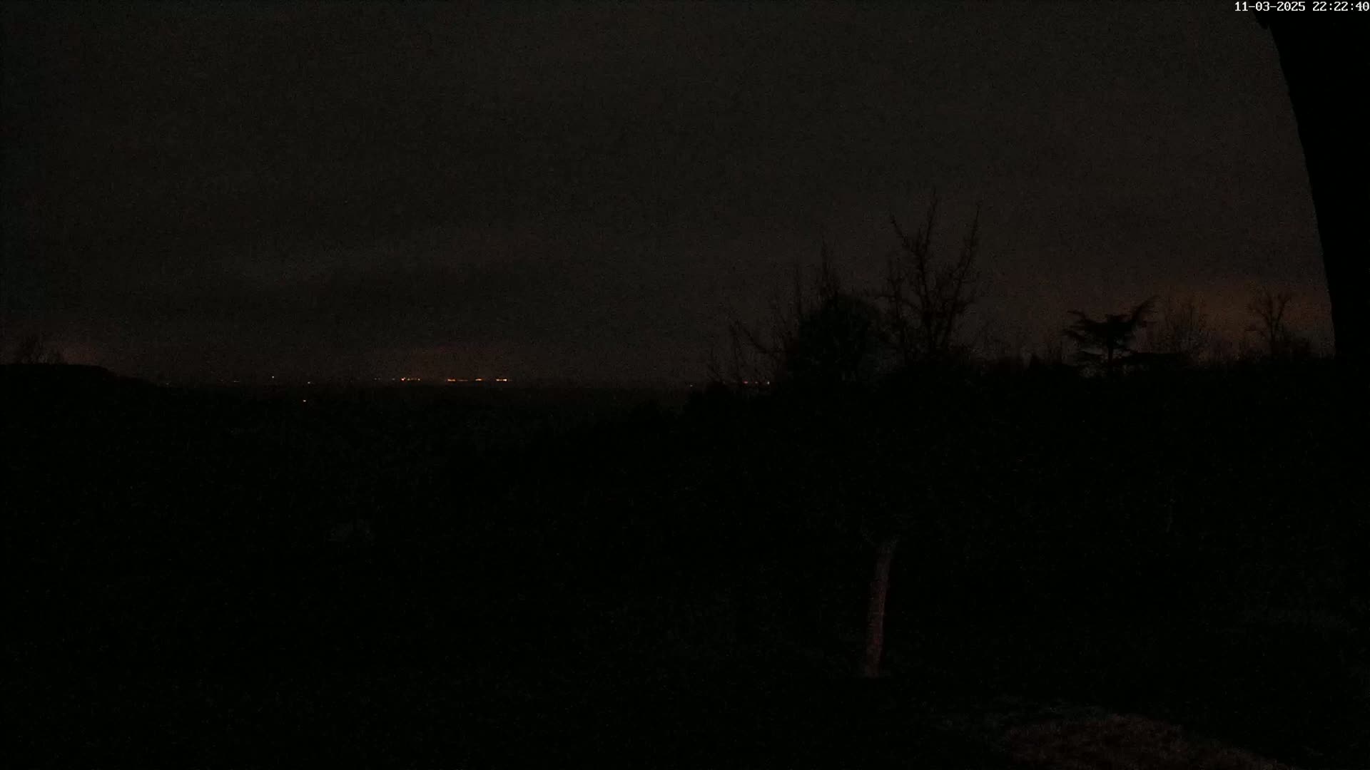 A dark, nighttime landscape shows a distant line of lights on a cloudy horizon, partially obscured by silhouetted trees.