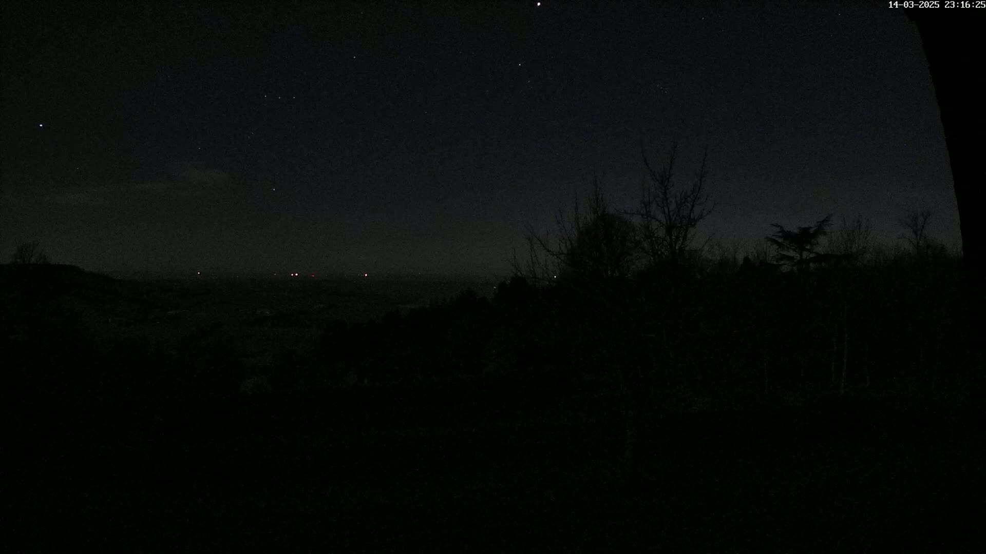 A night scene shows a dark landscape of silhouetted trees and distant, faint lights under a mostly clear, starry sky.