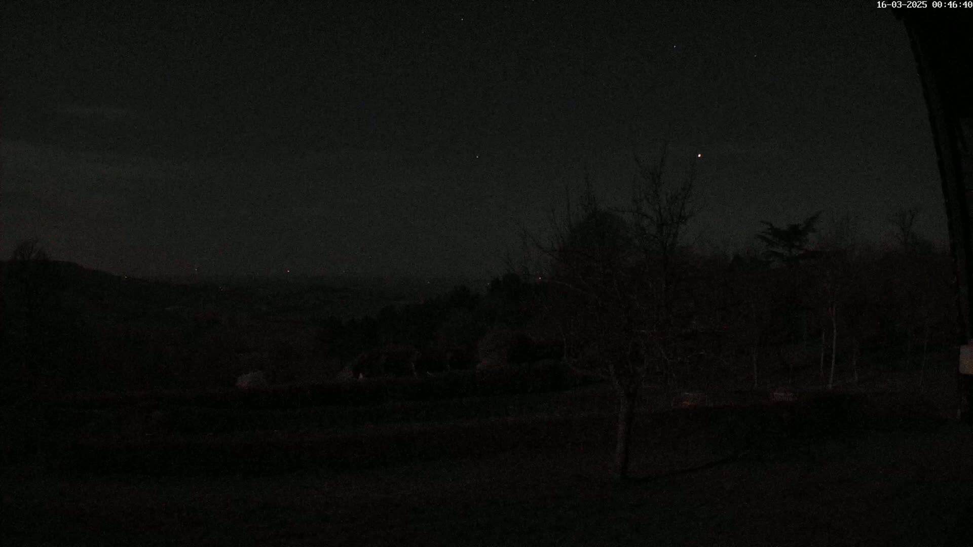 A nighttime view of a dark landscape with silhouetted trees under a mostly clear, starlit sky.