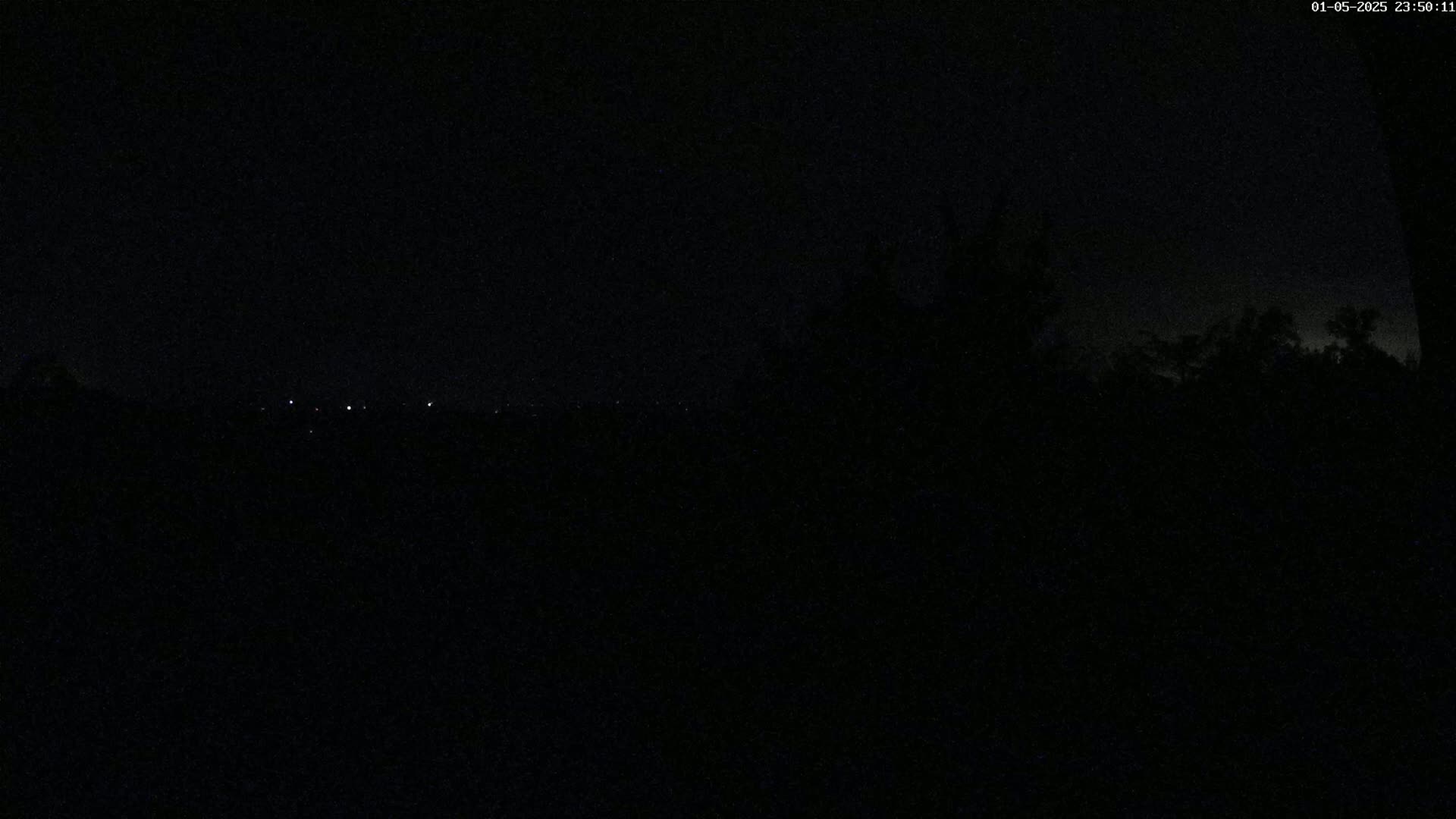 A dark nighttime scene shows a distant horizon with a few faint lights and silhouetted trees in the foreground under a clear, dark sky.
