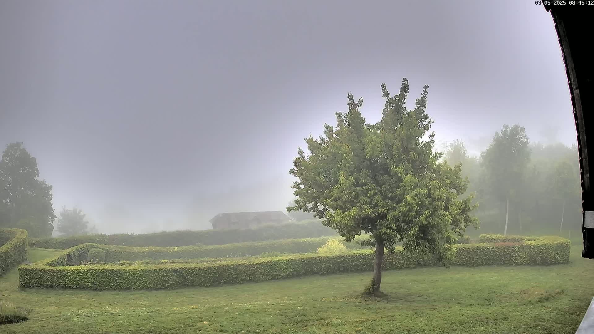 A foggy landscape features a neatly trimmed hedge surrounding a garden, a lone tree in the foreground, and a small building partially obscured by mist in the midground.