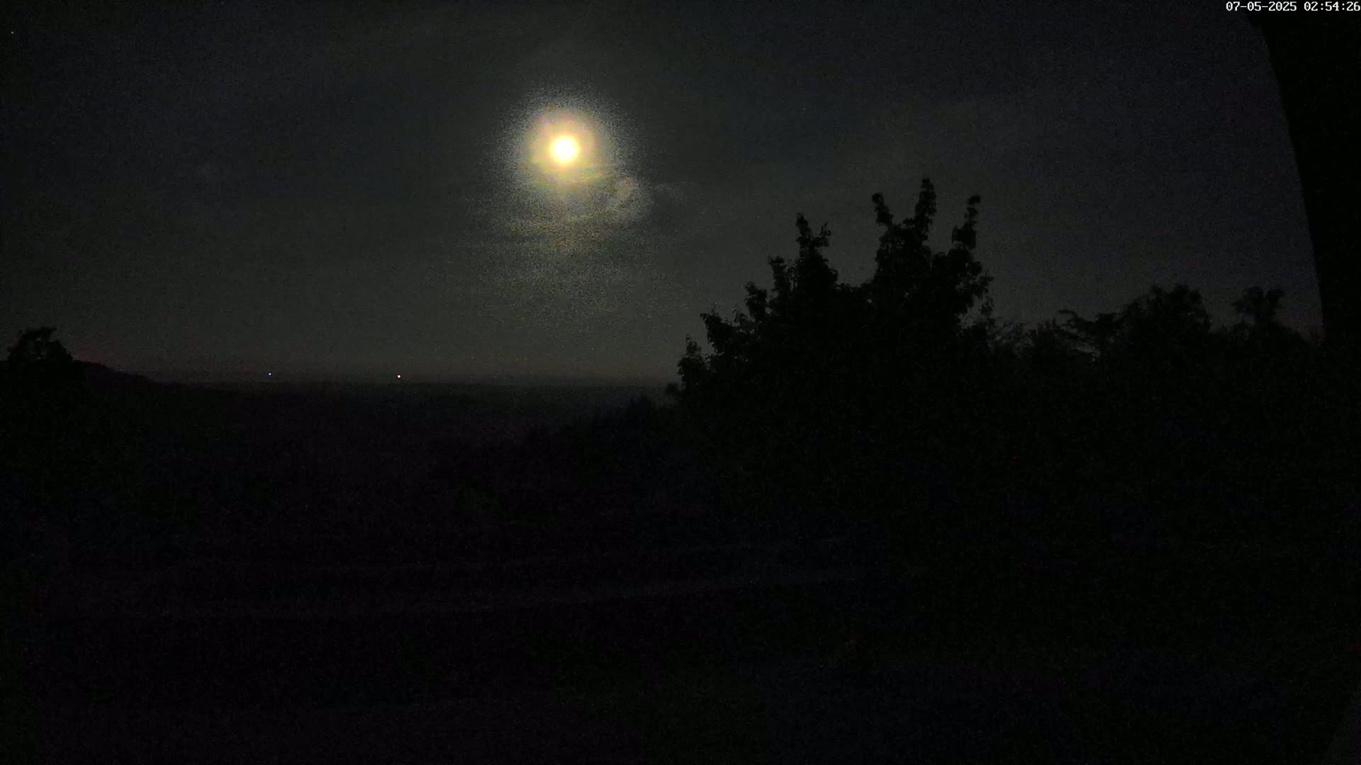 A bright moon illuminates a dark, nighttime landscape of silhouetted trees and a distant, hazy horizon.
