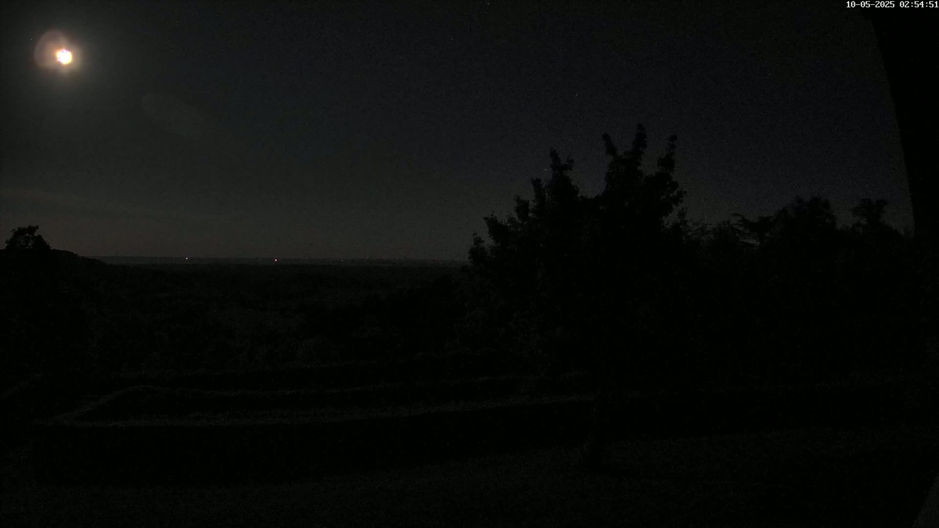 A bright moon illuminates a dark, nighttime landscape of trees and distant hills under a clear sky.