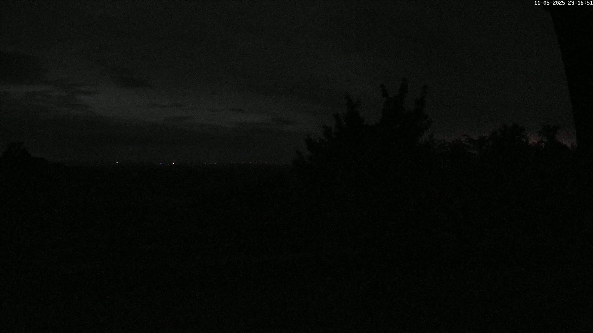 A dark, nighttime scene shows a distant, faintly lit horizon behind a silhouetted line of trees under a mostly cloudy sky.