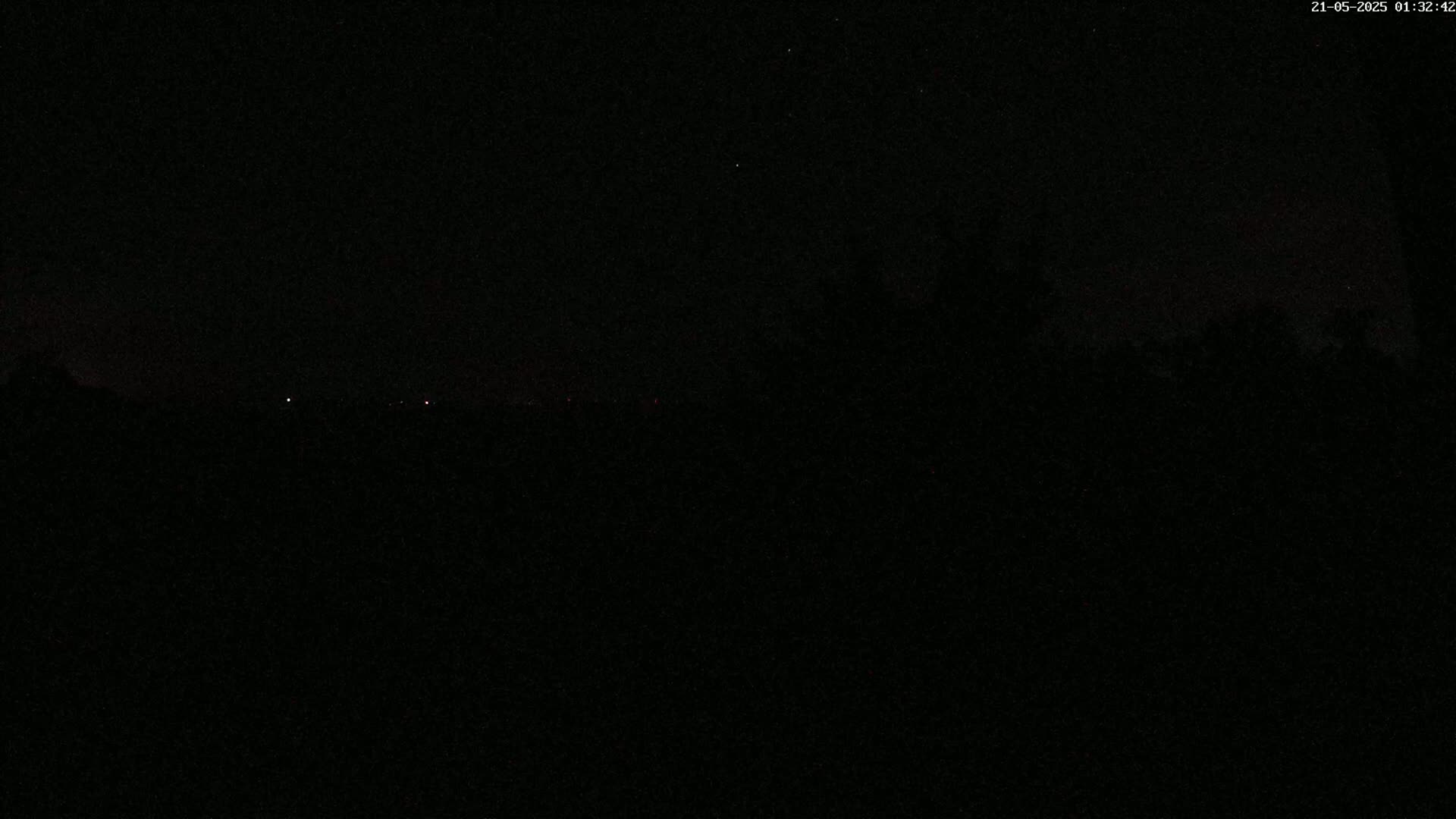A dark, nighttime scene shows a distant horizon with a few faint lights, and silhouetted trees in the foreground under a clear, star-studded sky.