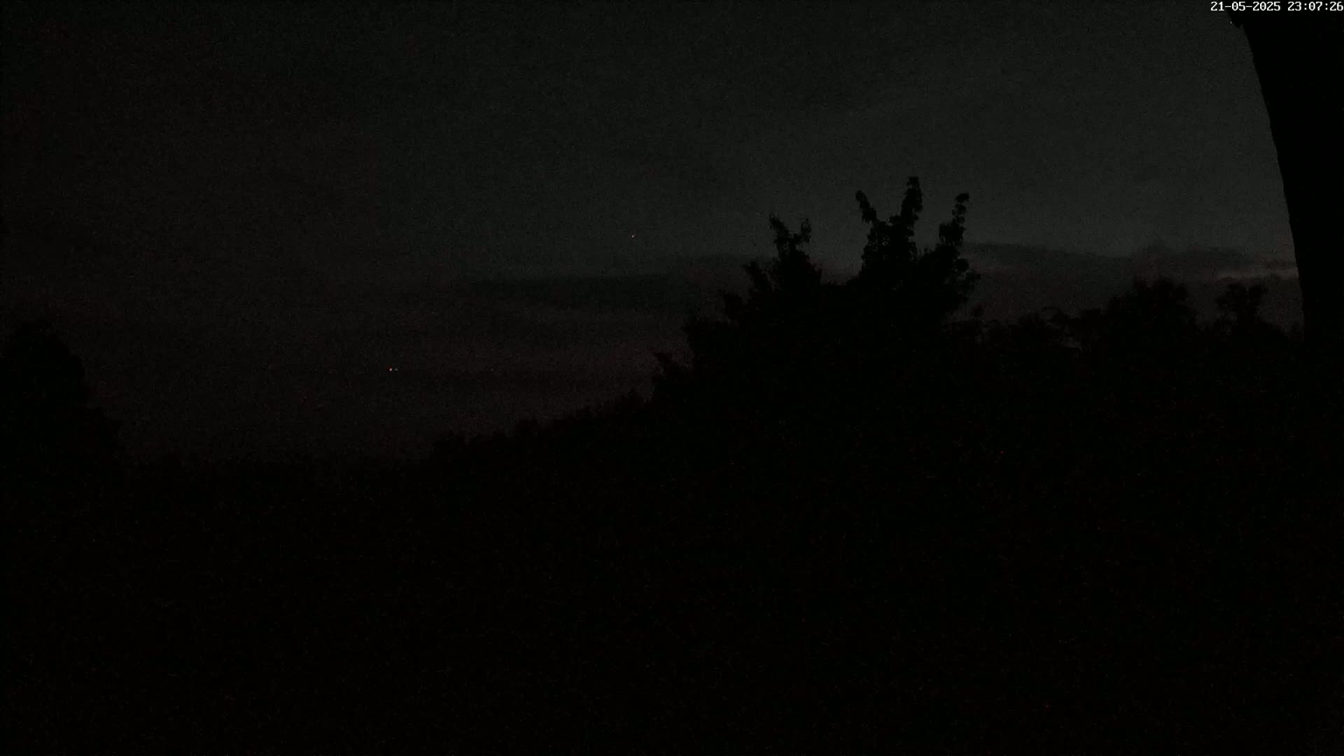 A dark, nighttime scene shows silhouetted trees against a cloudy sky.