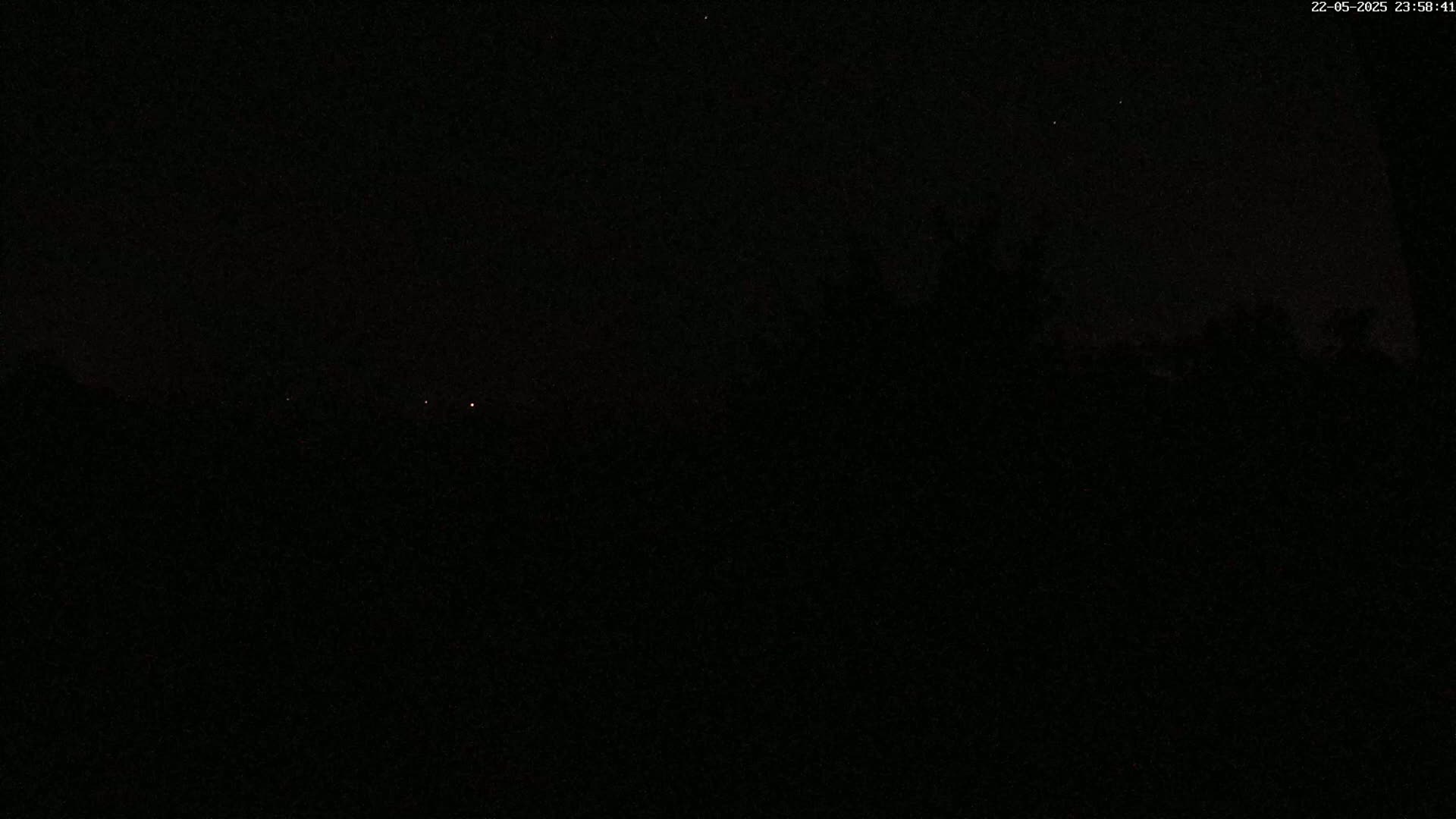 A dark nighttime scene shows a silhouetted line of trees under a mostly clear, starlit sky.