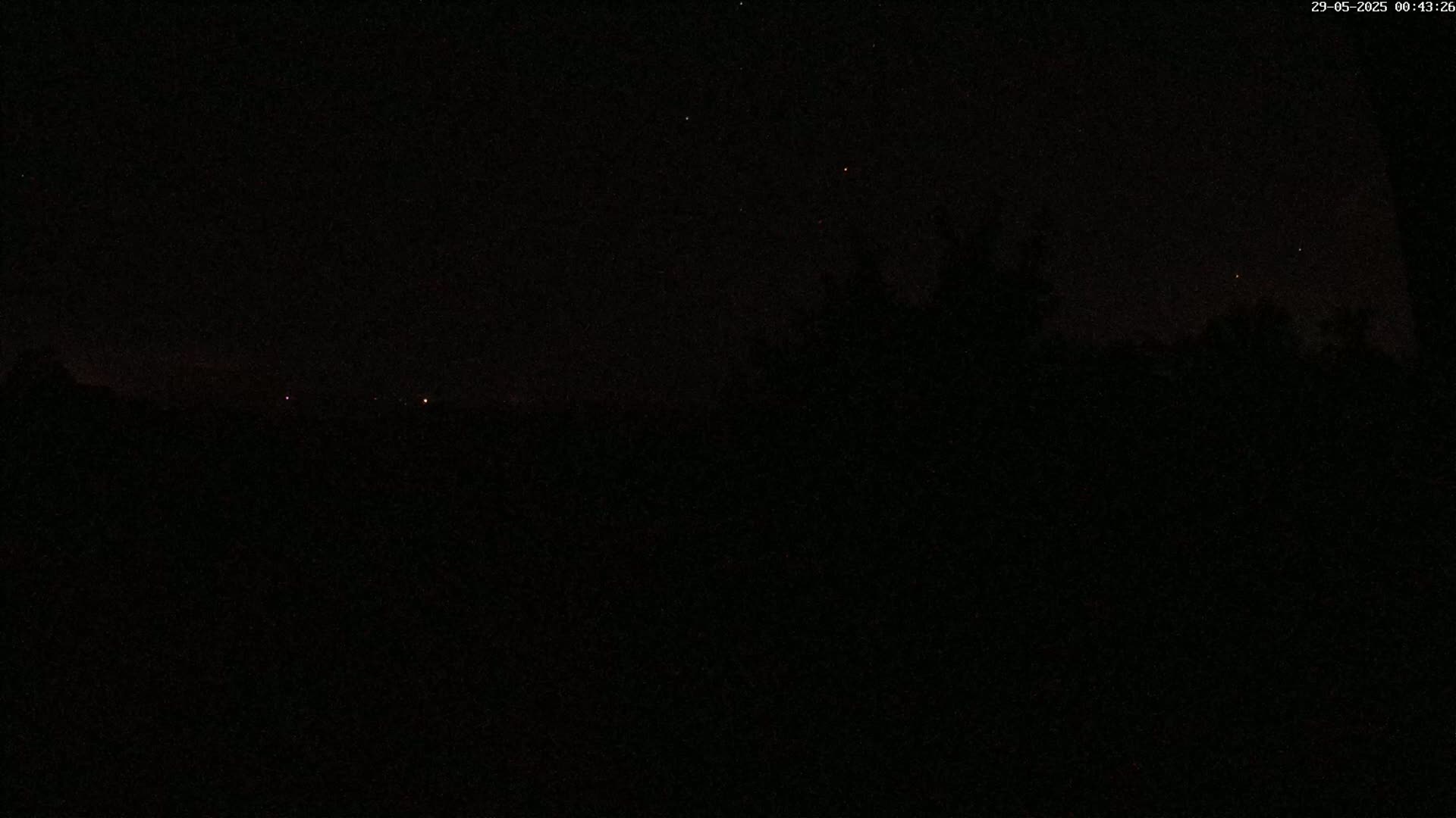 A nighttime, dark outdoor scene shows a few faint lights in the distance and silhouetted trees against a star-filled sky.